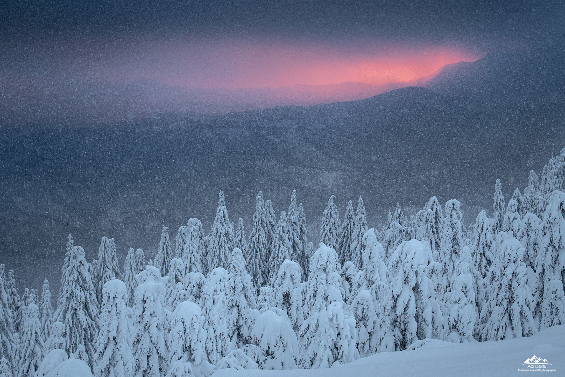 Last sun breathe - Cozia