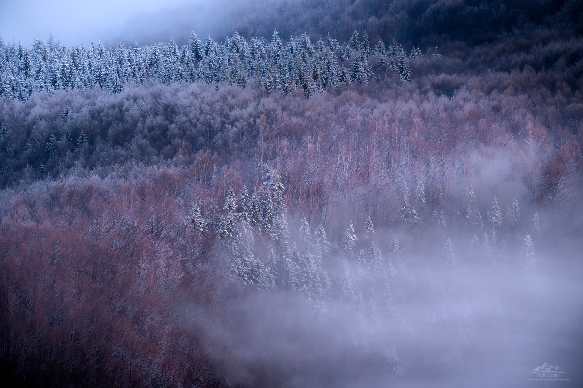 Muntii Cozia | Cozia mountains | Romania