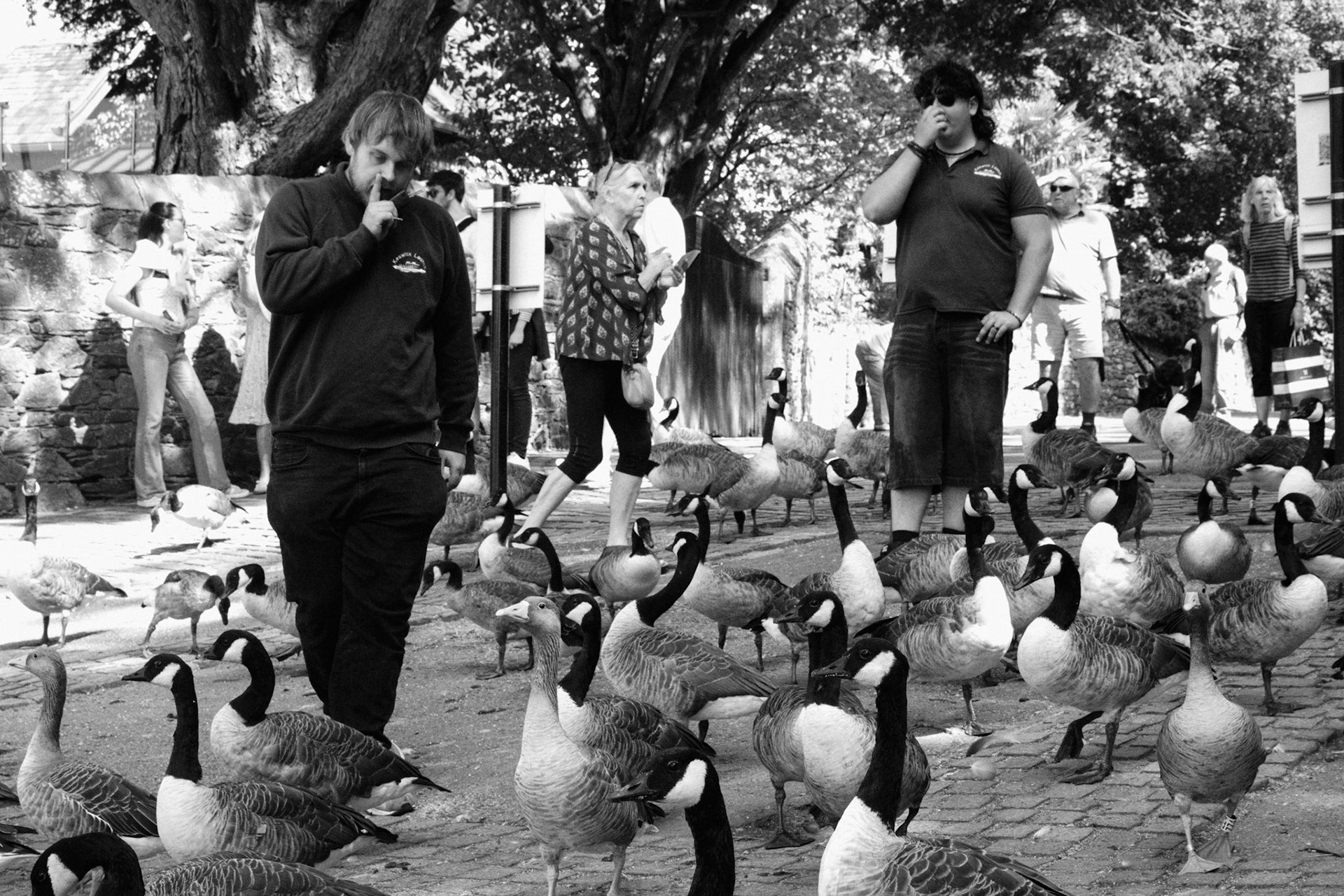 Feeding time. Everyone has their own method.