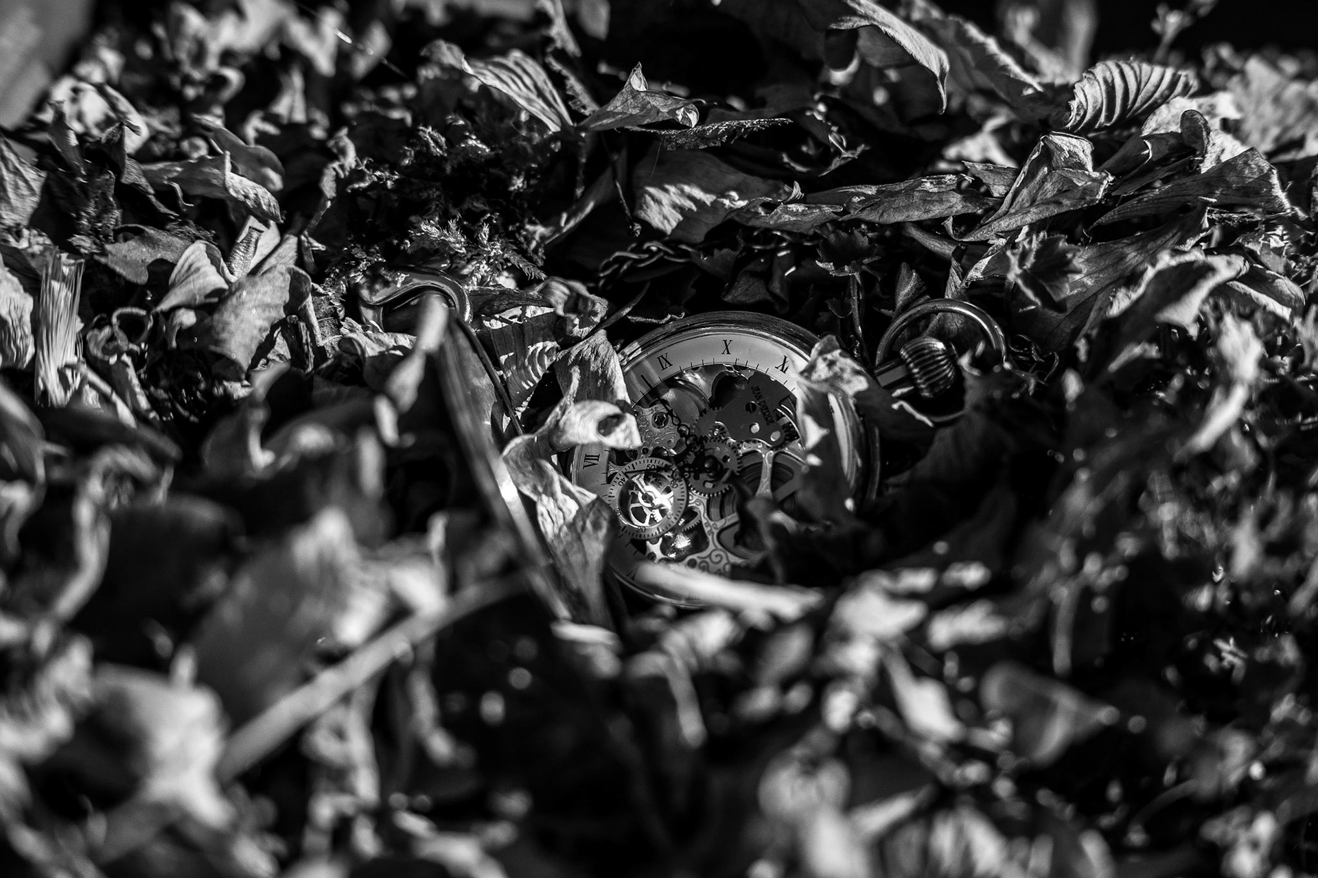Time. The one thing we can never keep. It slips quietly from our hands, taking moments, place and people with it. Every photograph is an attempt to resit the loss, not by stopping time, but by preserving a fragment of it. That this existed. That we were here. Perhaps that is all a photograph can ever be: not a memory itself , but a small act of defiance against forgetting.