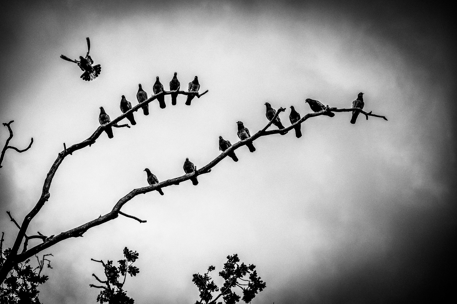 The Gathering.  We rarely remember the ordinary moments while we are living them. A pause before departure. A quiet place shared. The brief arrival of one more among many.  Memory does not preserve the whole scene. It leaves us only fragments—the shape of a branch against the sky, the silhouettes of those who were there, and the feeling that something mattered, even if we can no longer say why.