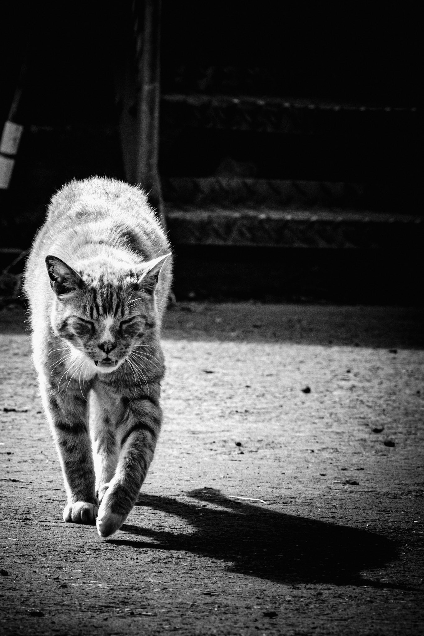 The Old Guard. Some place have their keepers.