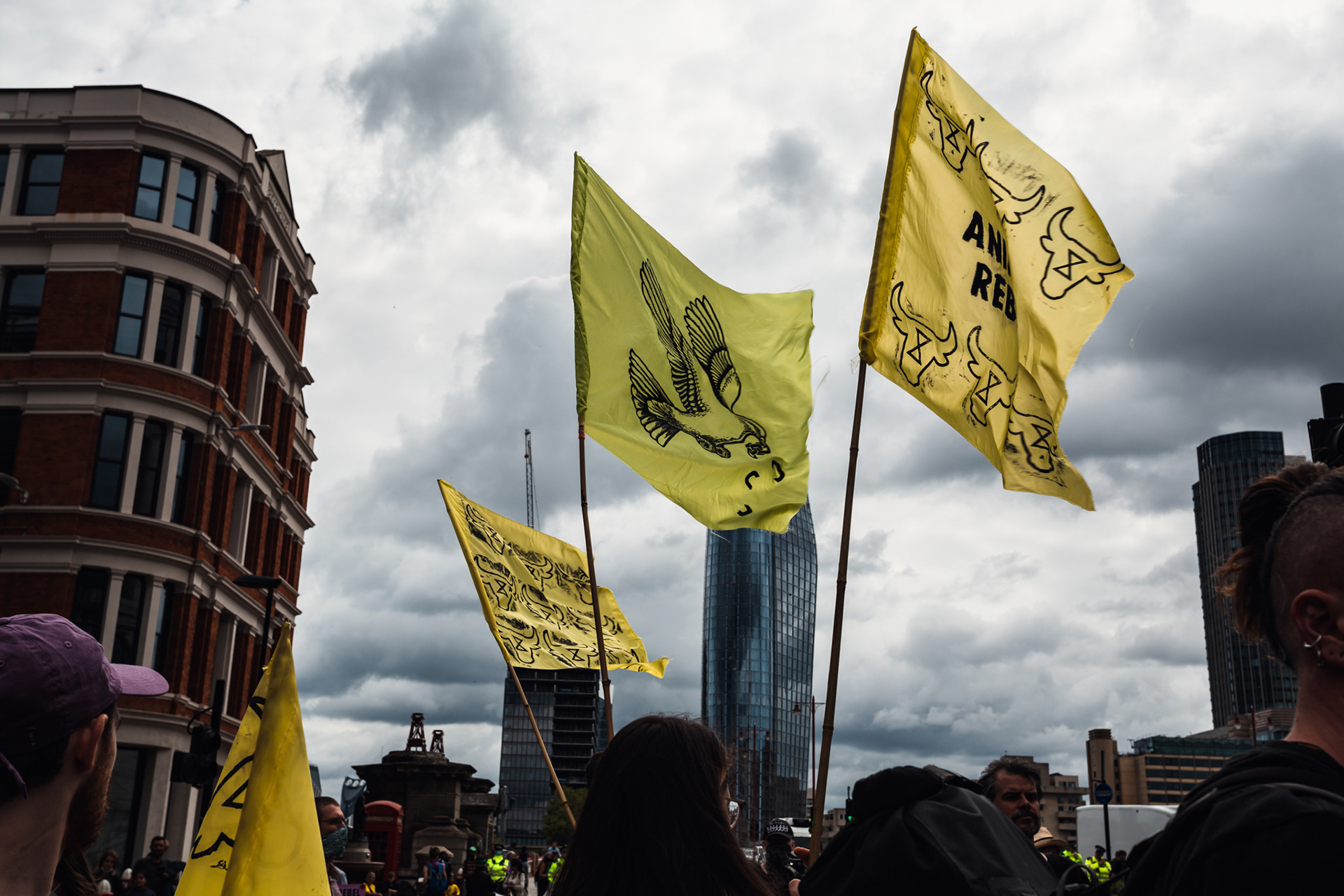 Animal Rights March, London