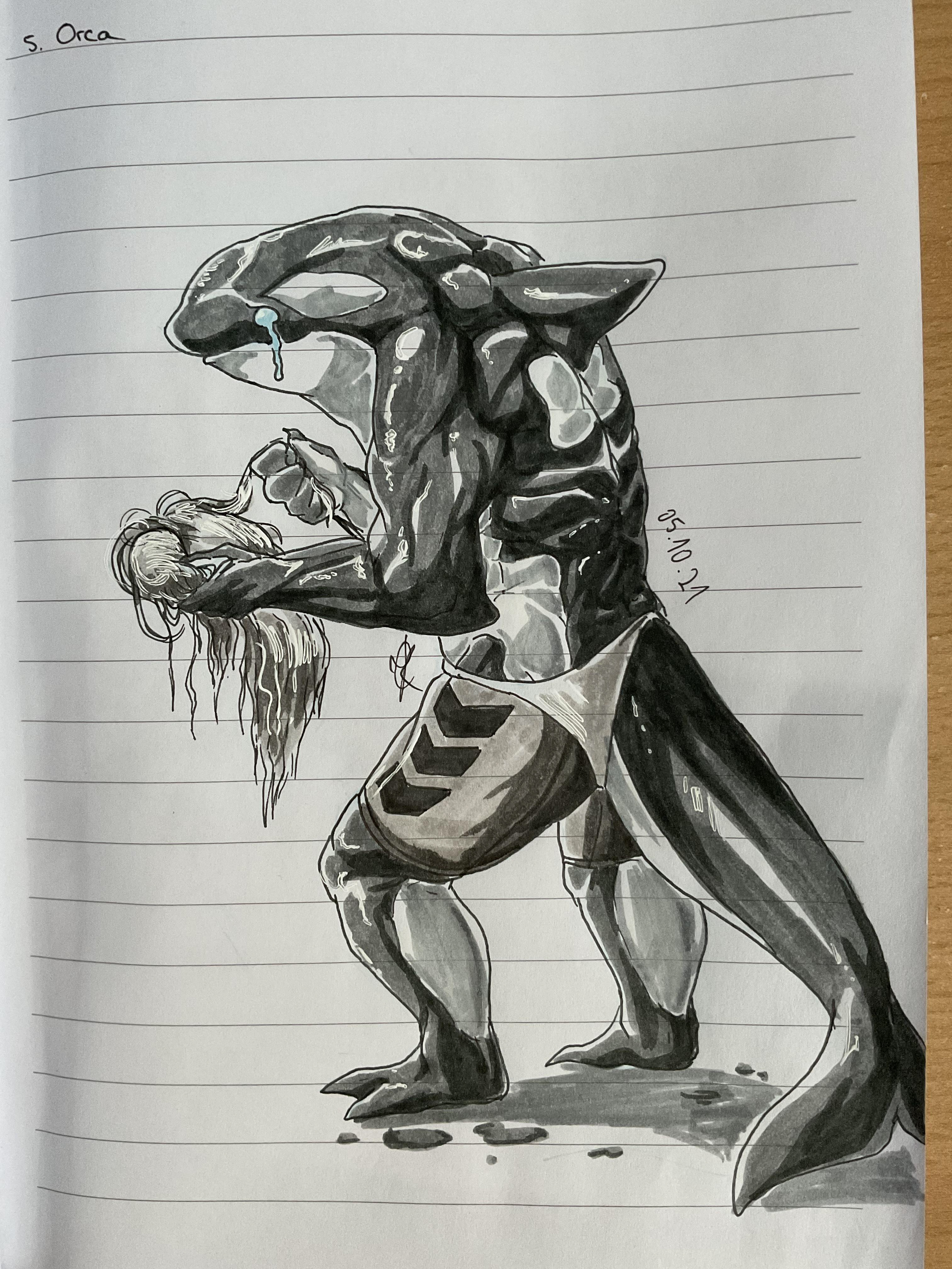 Day 05: Orca
