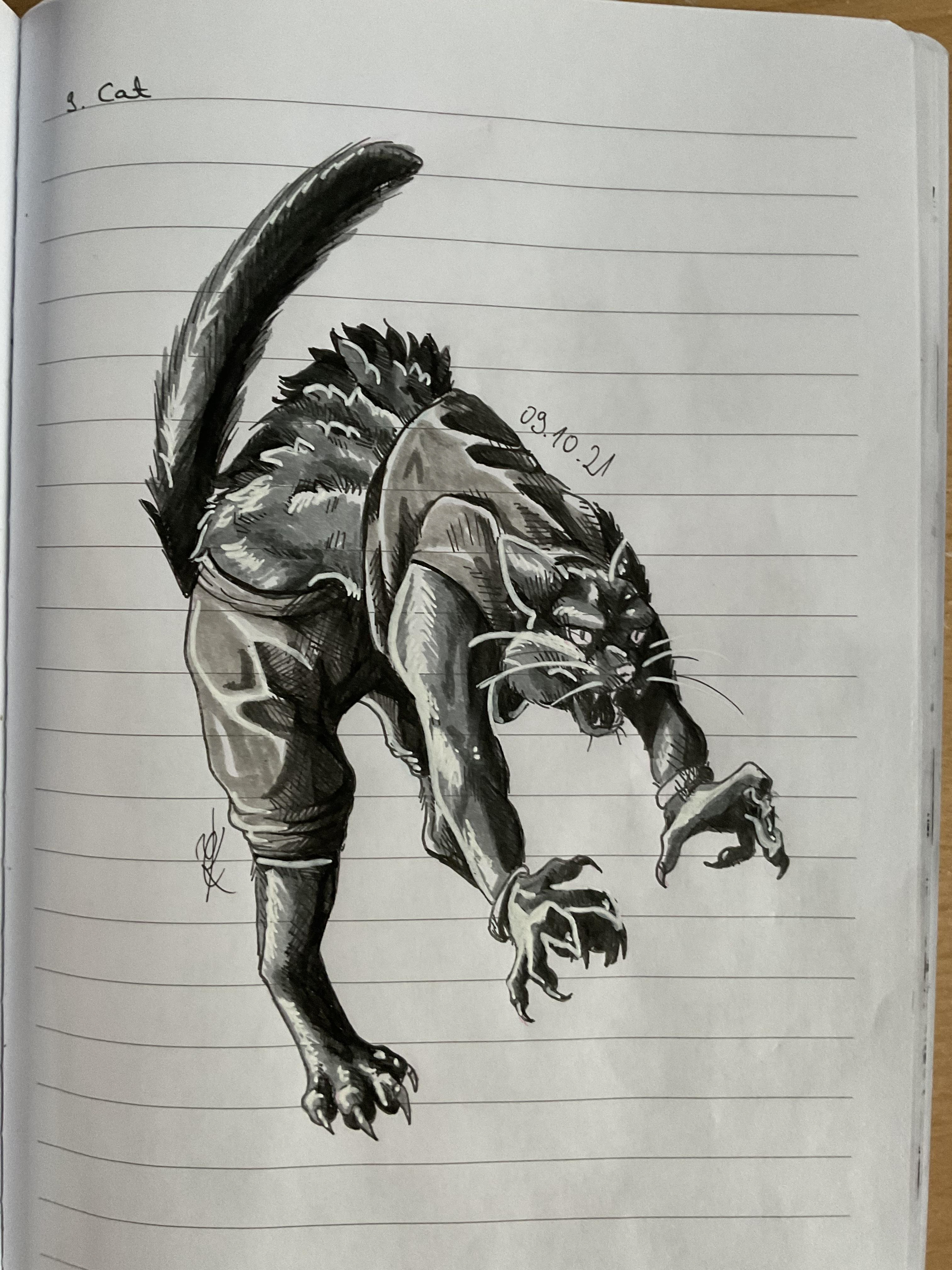 Day 09: Cat