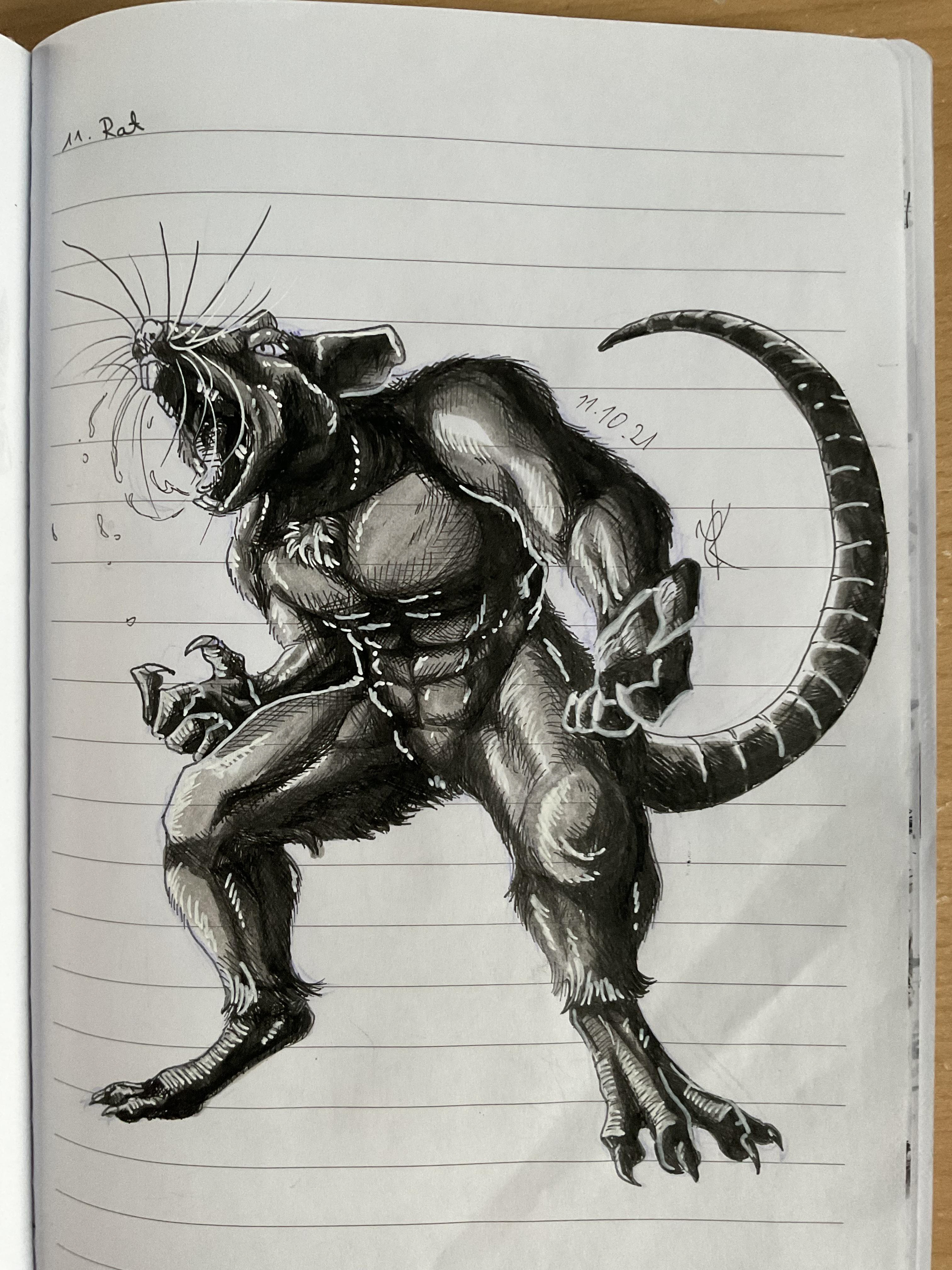 Day 11: Rat