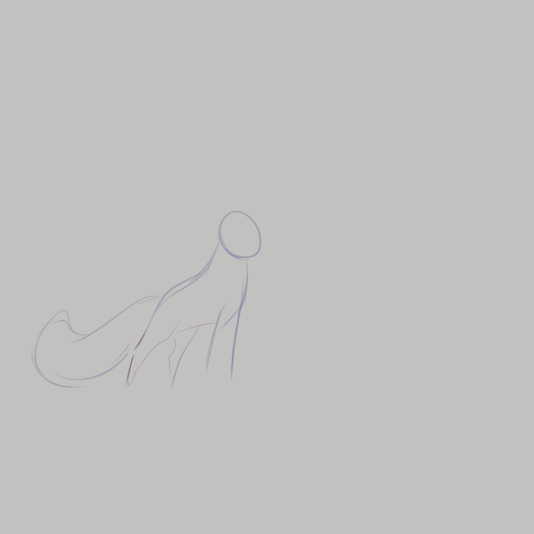 The whol animation process