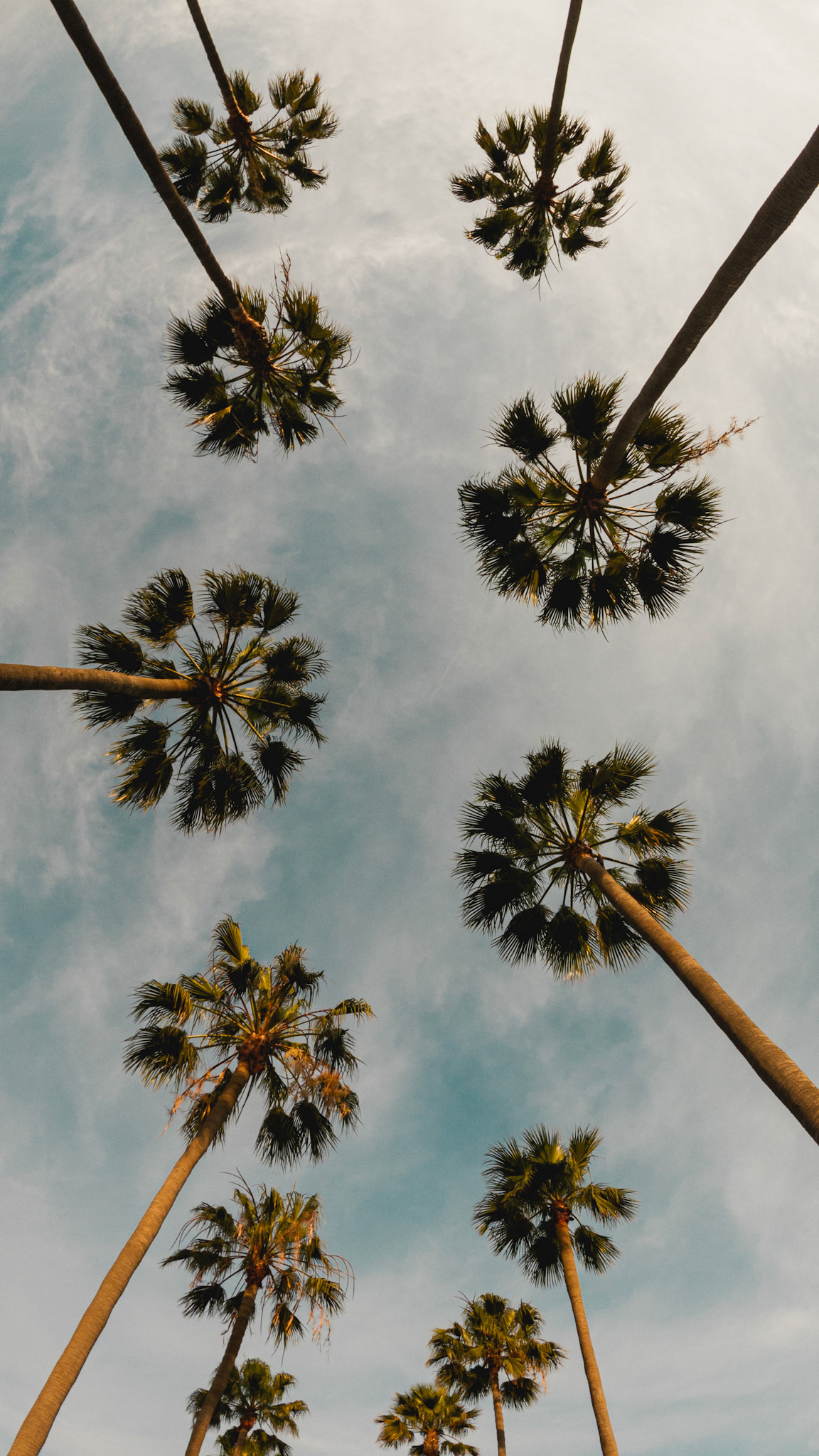 C:\DCIM\100GOPRO\GOPR0435.GPR