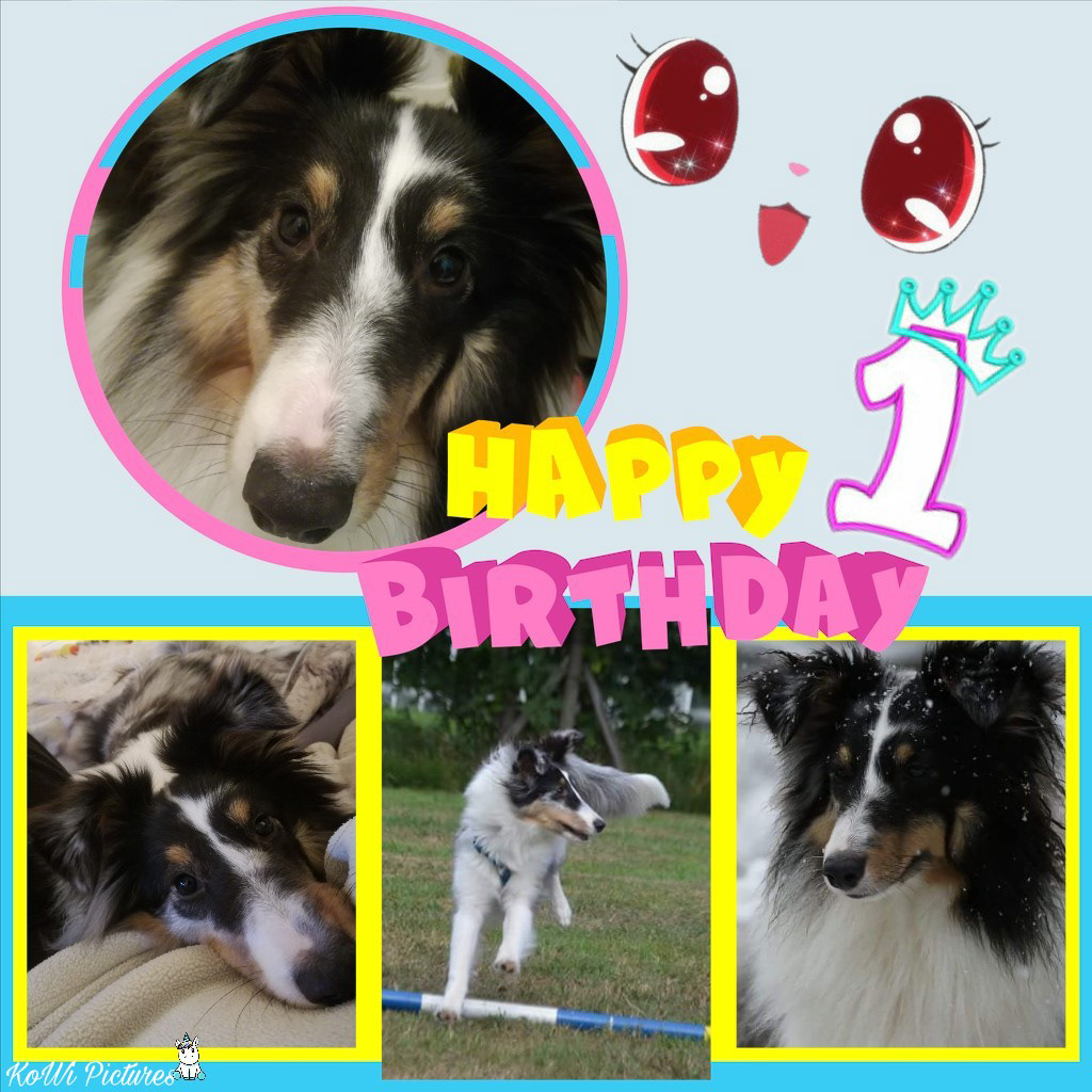 Nimueh 1 year