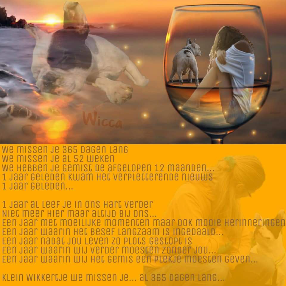 Wicca (in memory of)