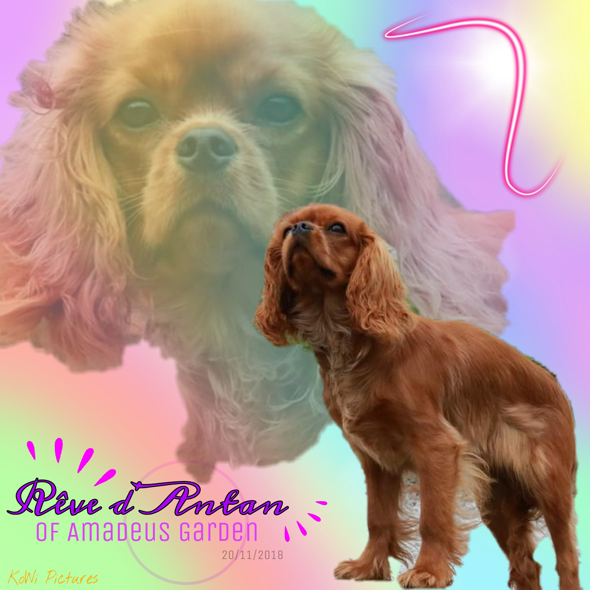 Presentation breeding female