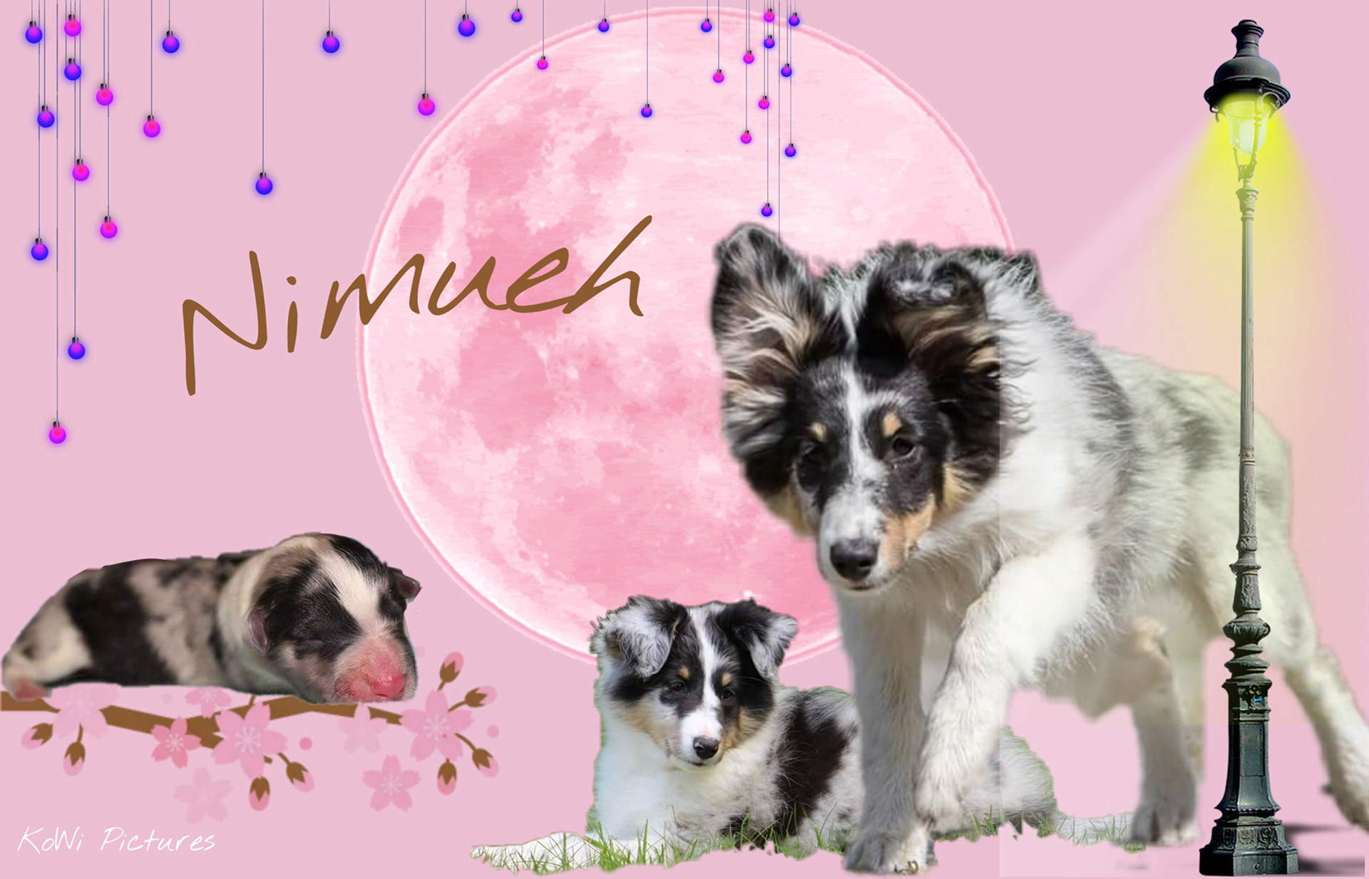 Nimueh