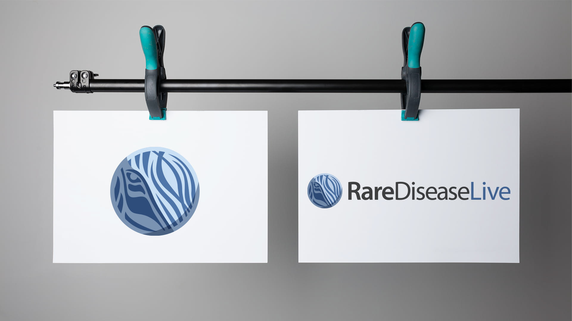 rarediseaselive hanging logo print samples