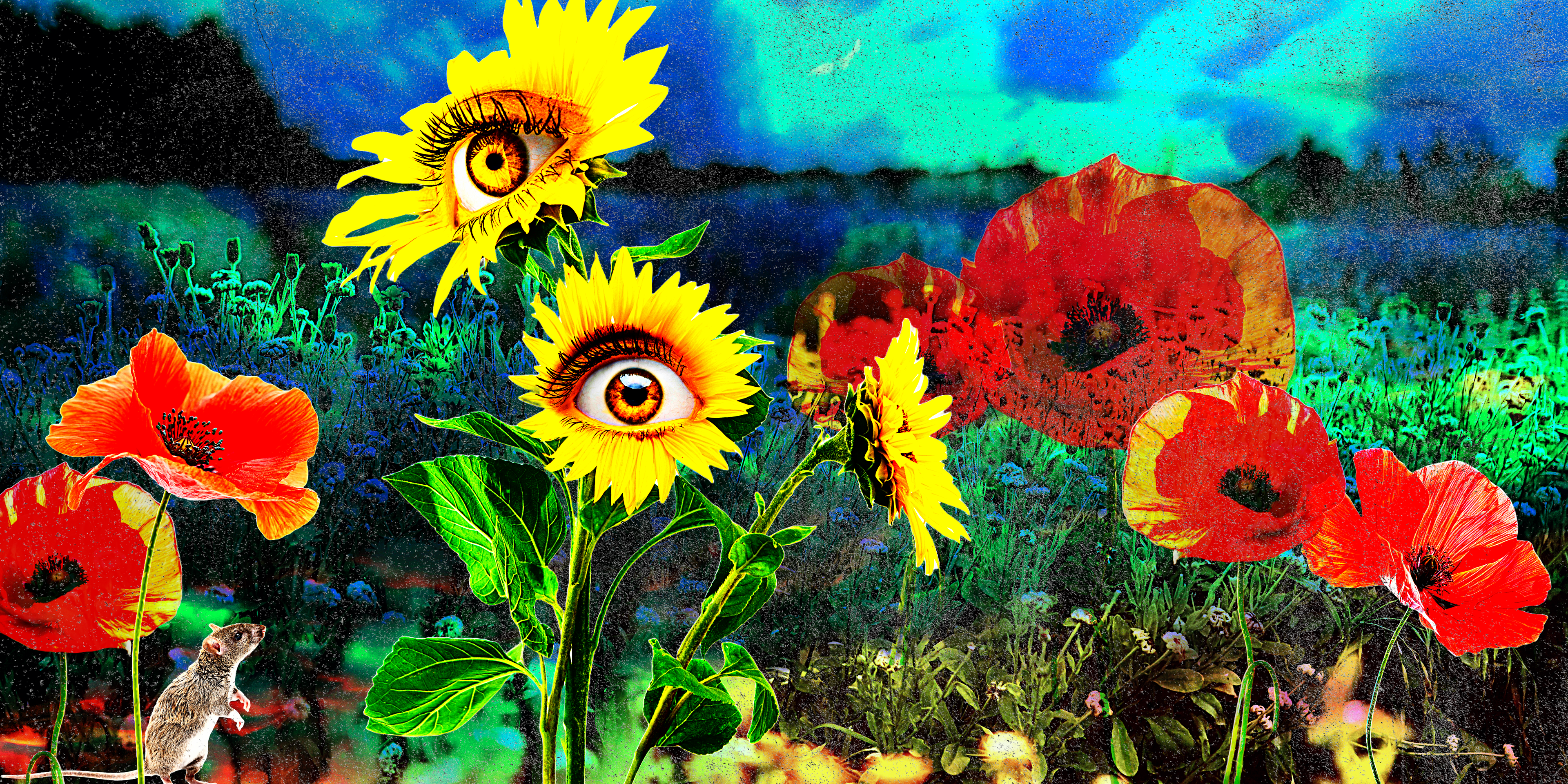 The Flowers Have Eyes