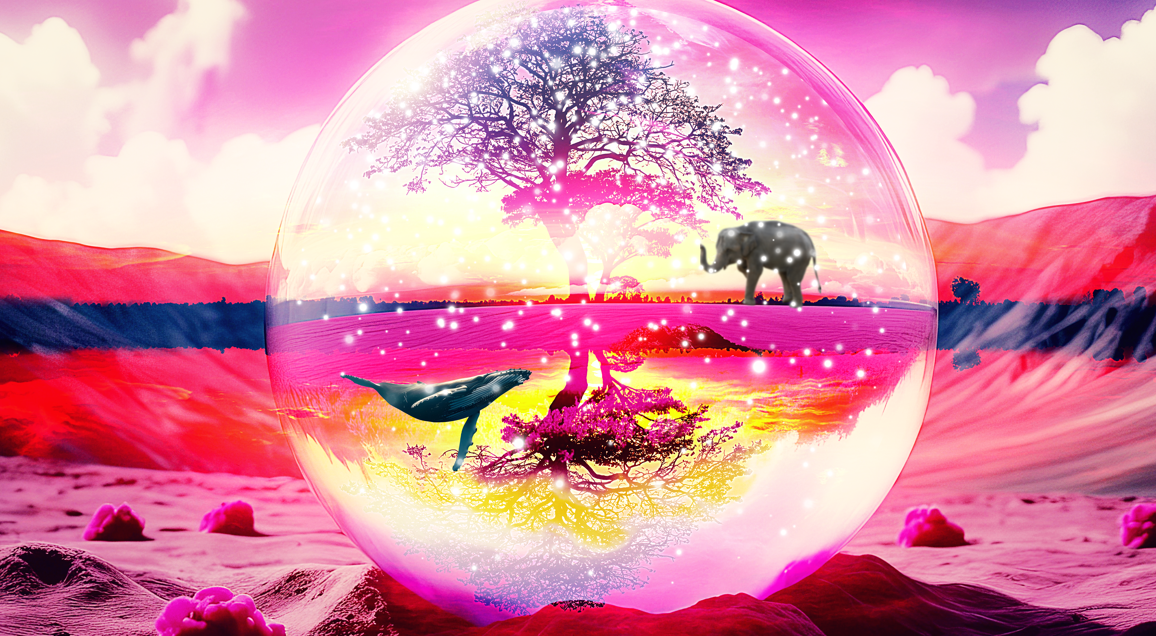 Snow Globe
