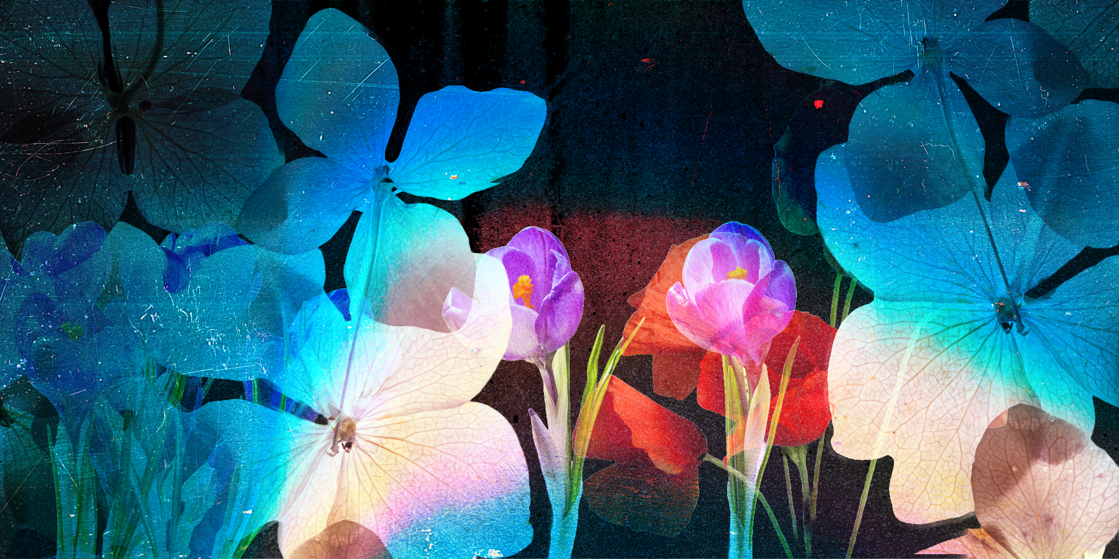 Silent Garden