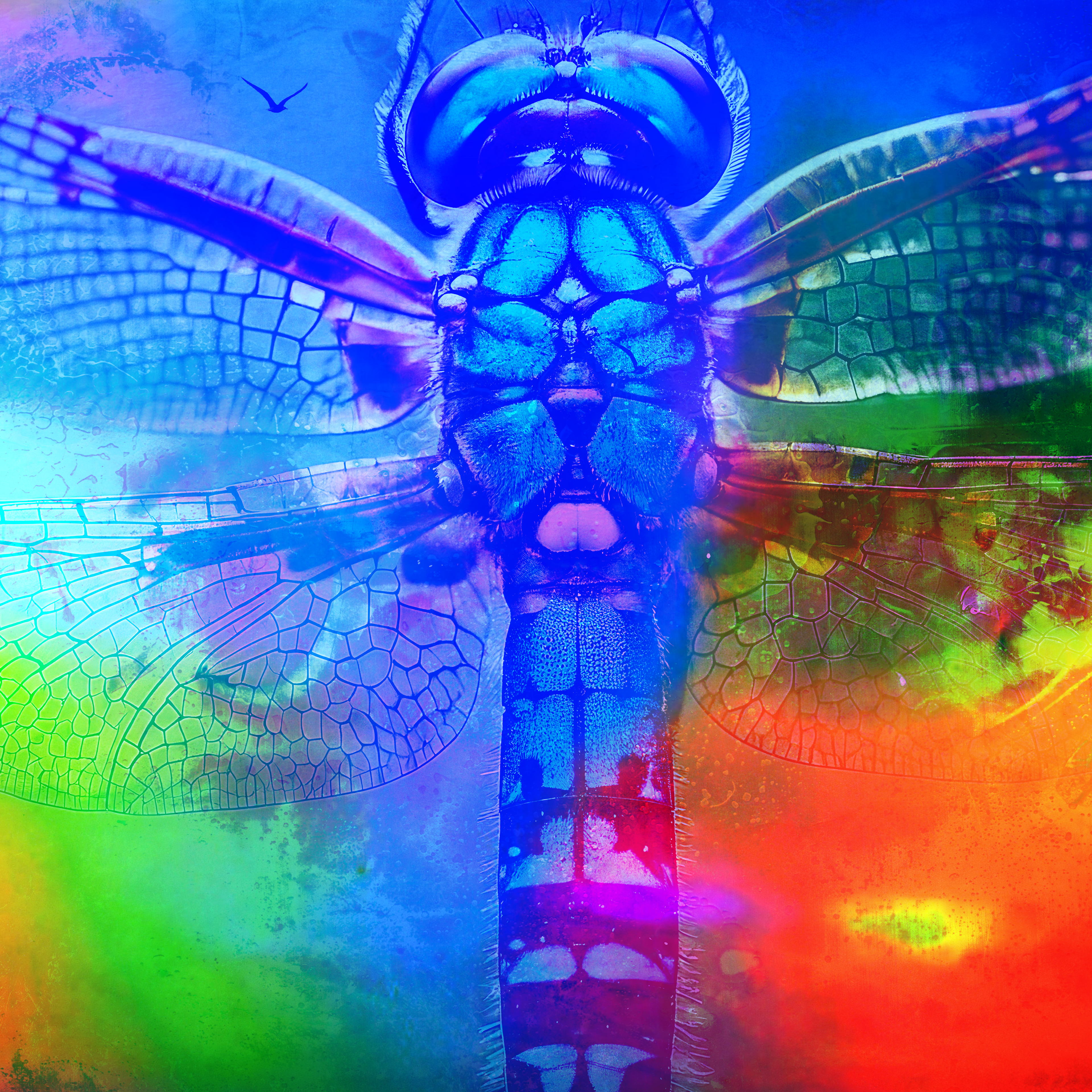 Neon Dragonfly