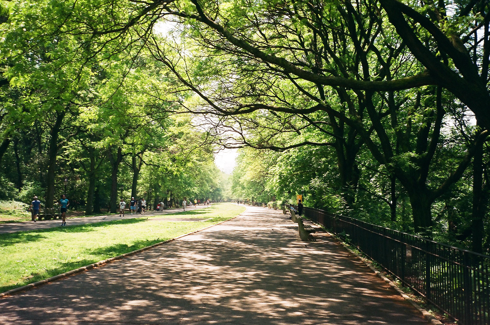 Riverside Park. Manhattan, New York. May 2022.