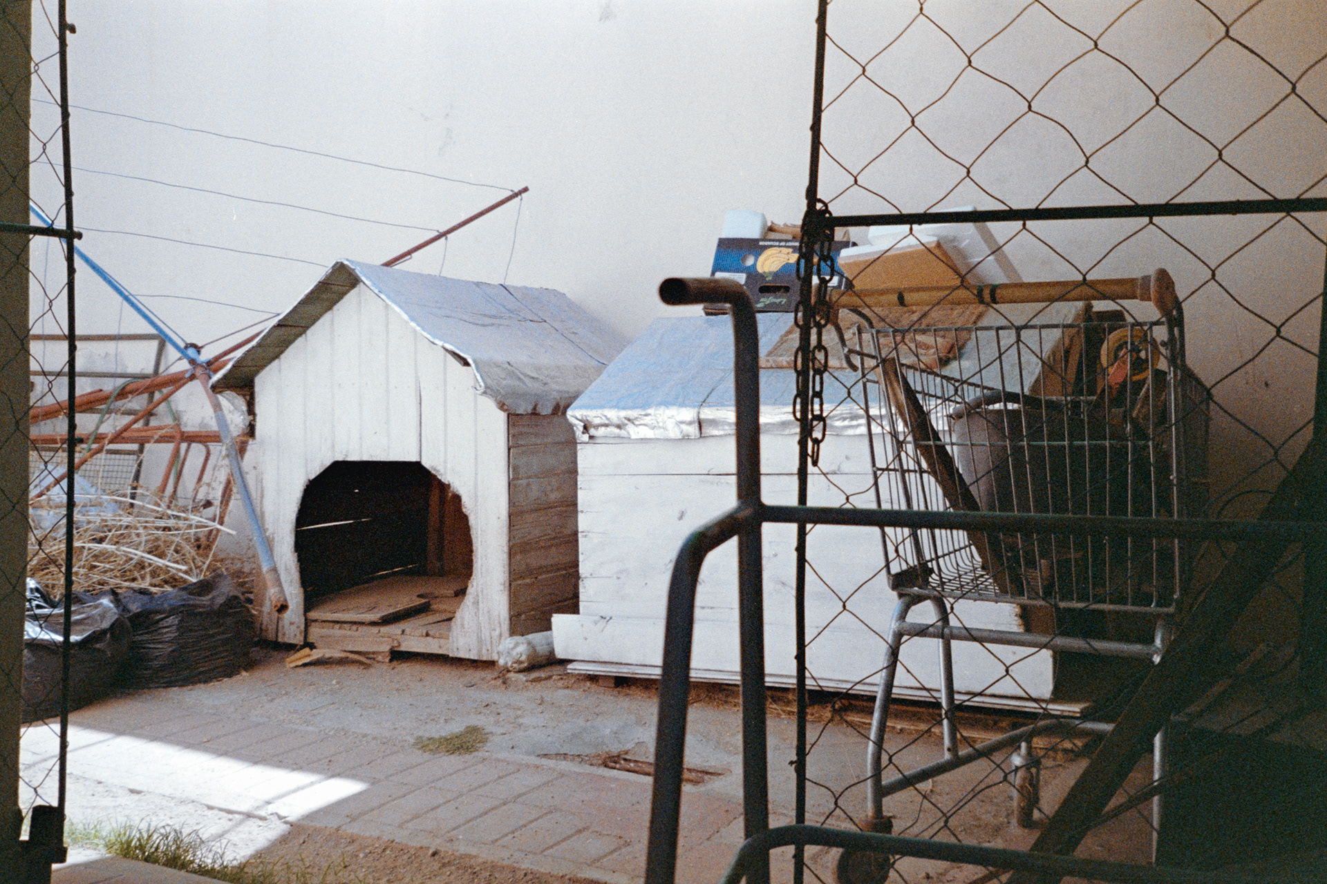 San Luis, Argentina. December 2024.