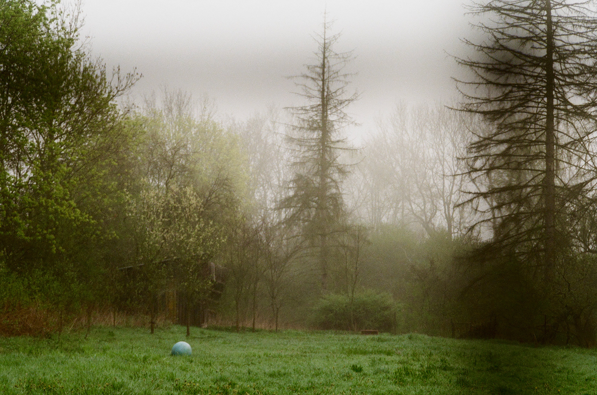 Backyard. Prague, Czechia. April 2024.