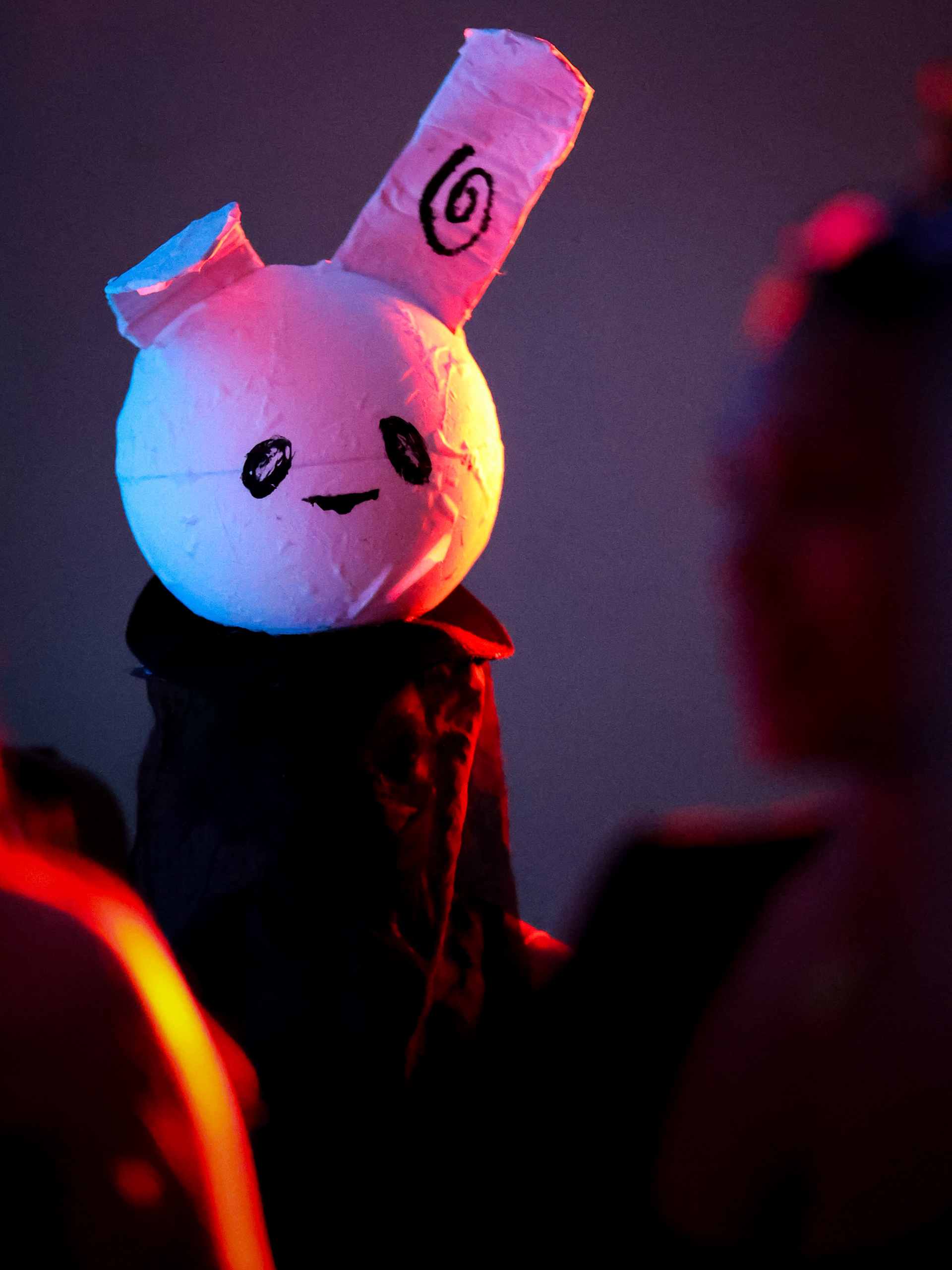 Bog Body Dance Party. An experimental puppet show rave by Maura Pelczynski.  Performed on April  24th of 2025 at Sarah Lawrence College.