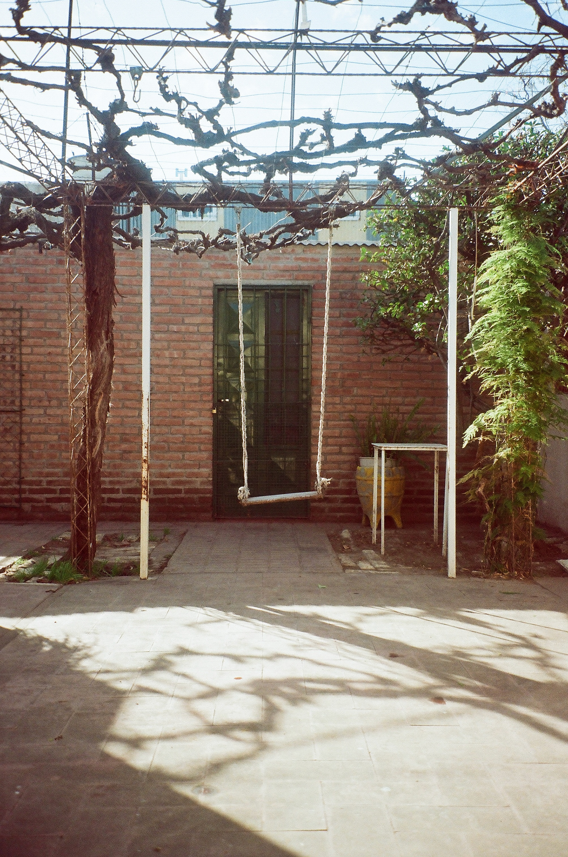 Childhood Swing. San Luis, Argentina. August 2023.