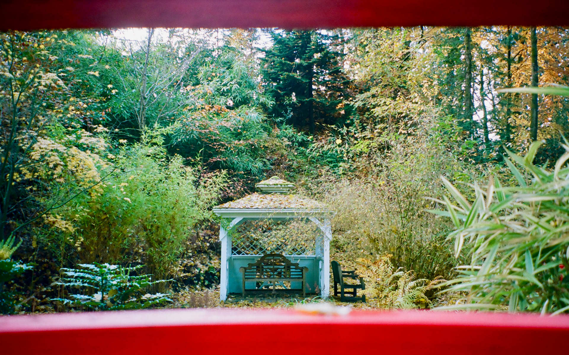 Scotland, UK. November 2023.