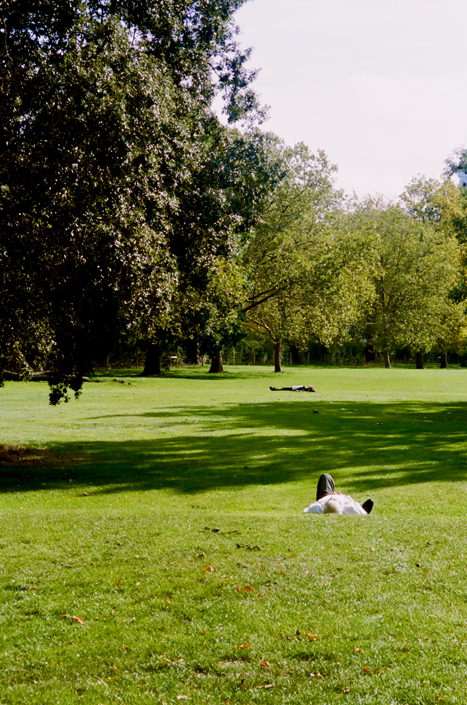 Regent's Park. London, UK. October 2023.