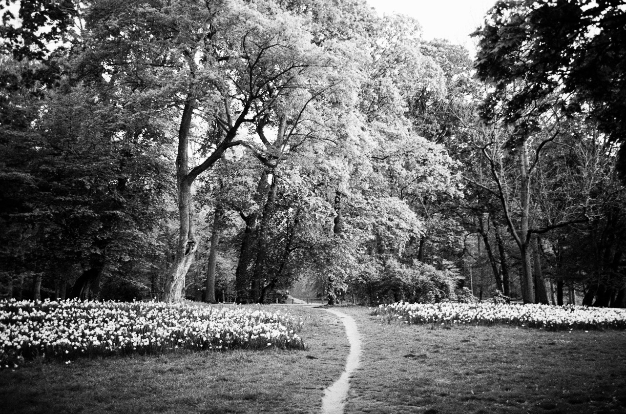 Prague, Czechia. April 2024.