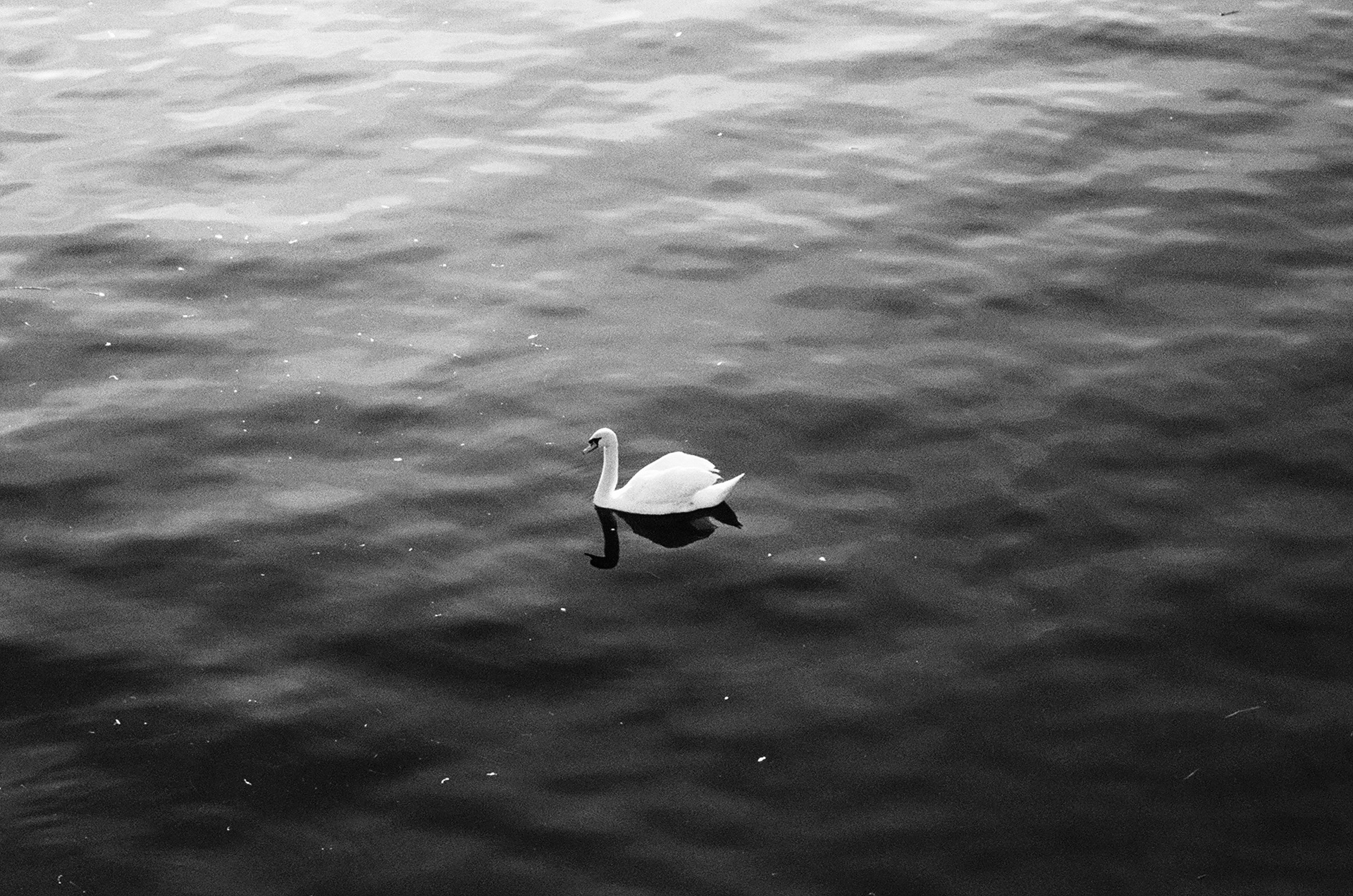 Prague, Czechia. May 2024.