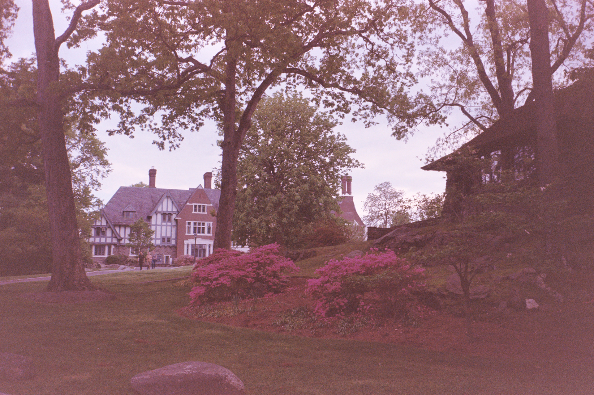 Sarah Lawrence College. Bronxville, New York. May 2025.