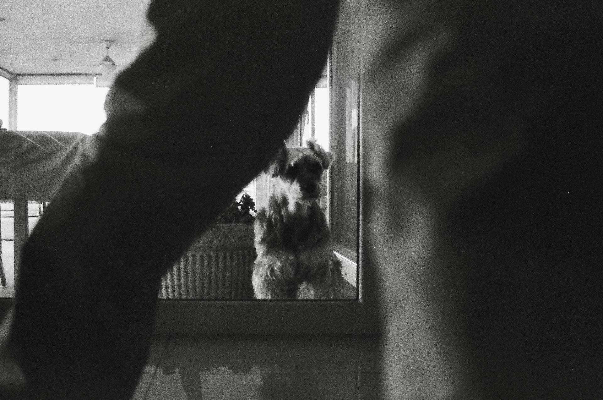 Córdoba, Argentina. August 2024.