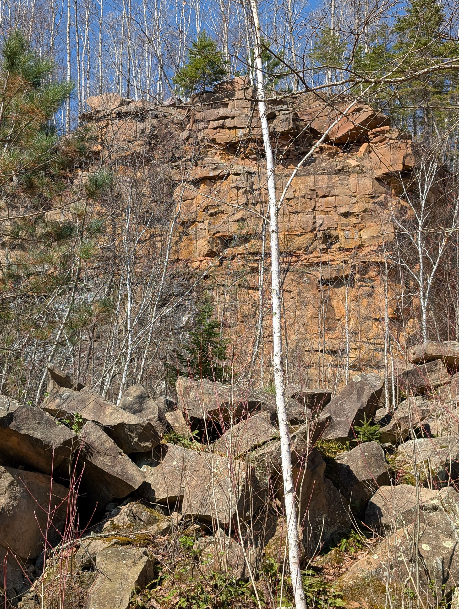 Abandoned Quarry Wall at Robinson Quarry Park