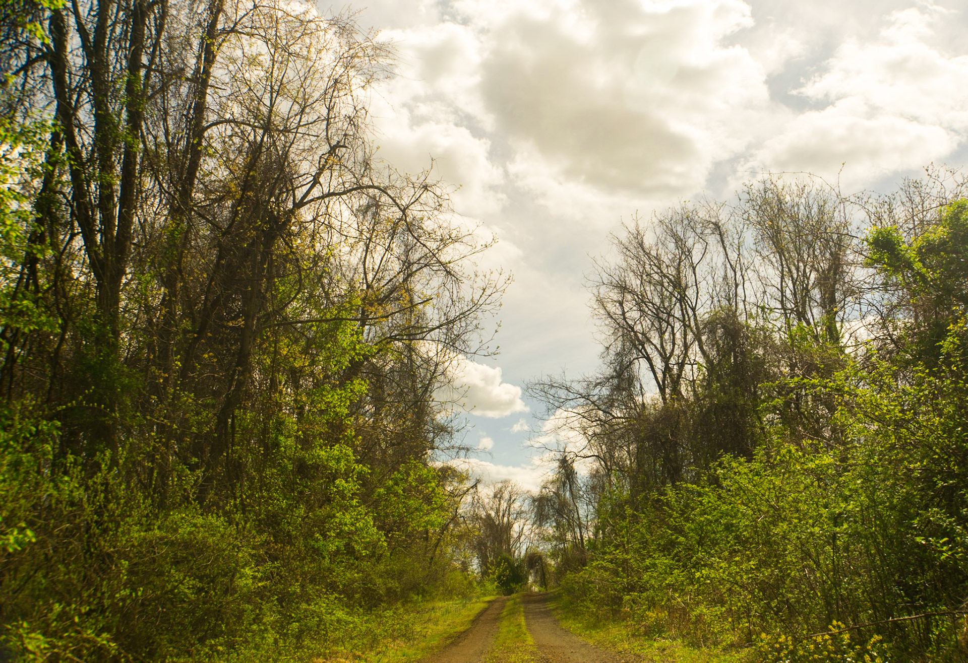 willowsford farm road