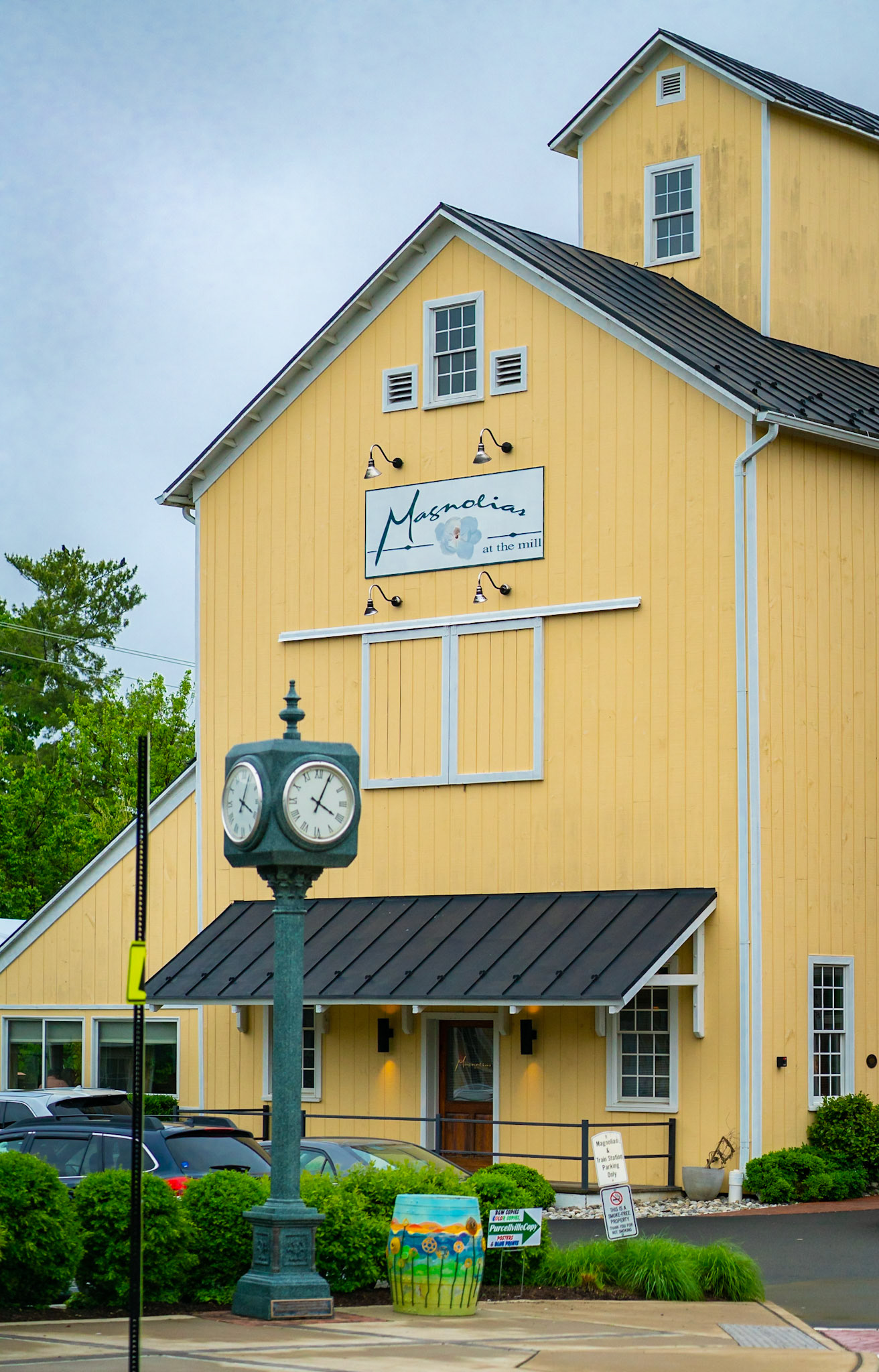 Magnolias at the mill