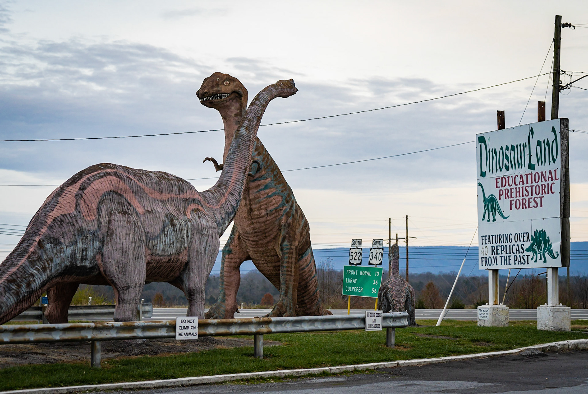 Do Not Climb on the Animals