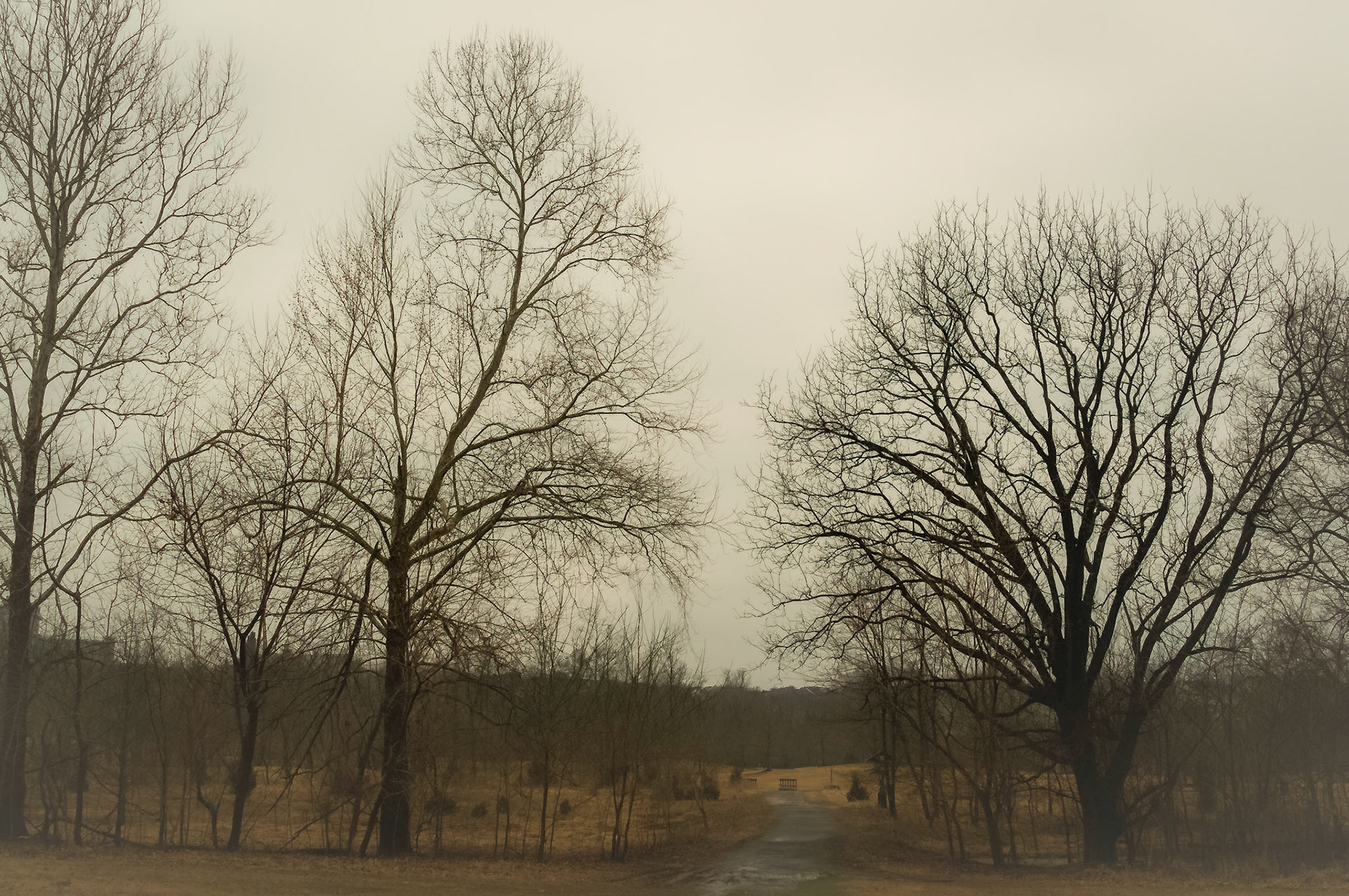 in memory of elizabeth mills