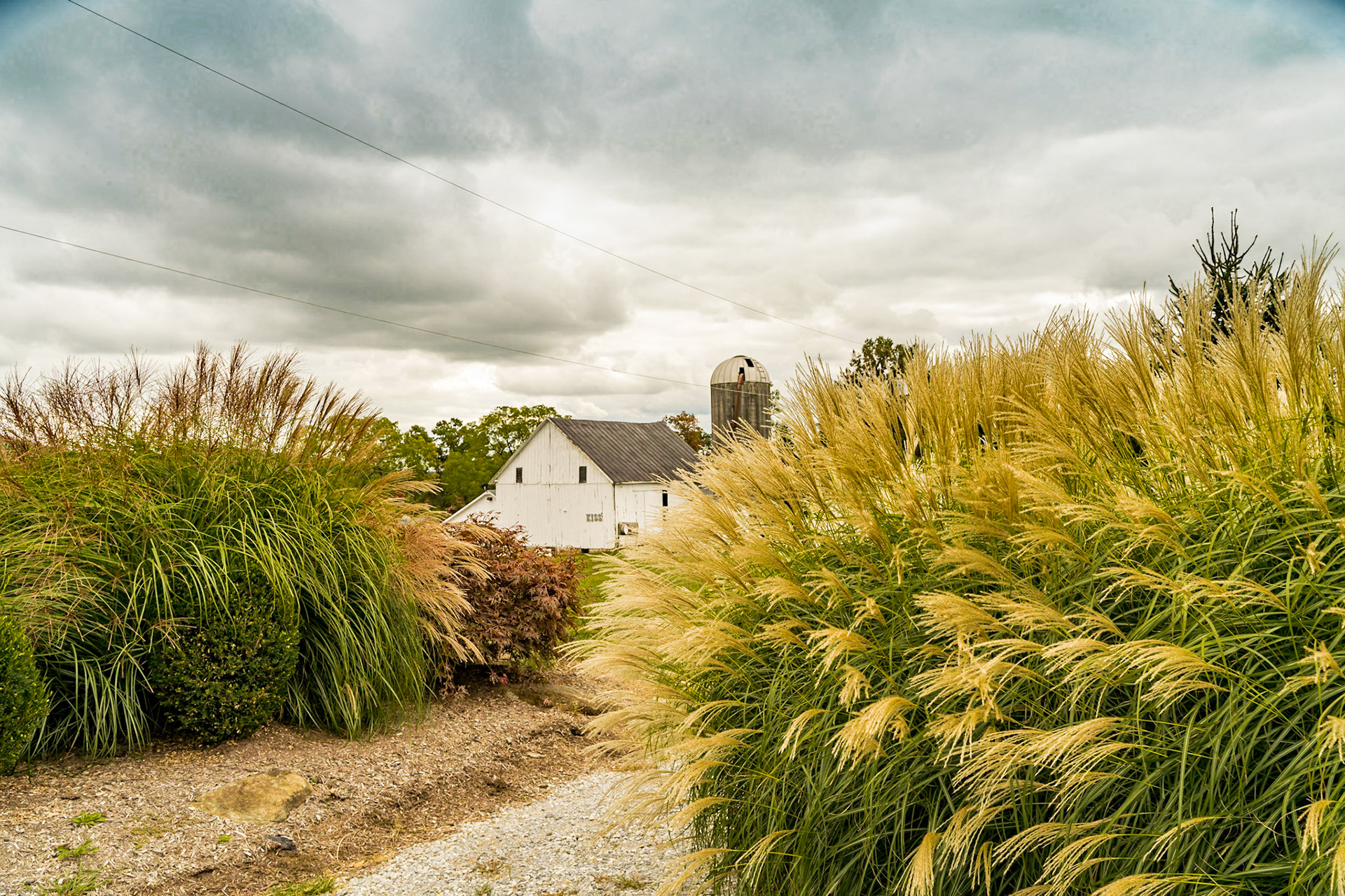 868 Estate Vineyards