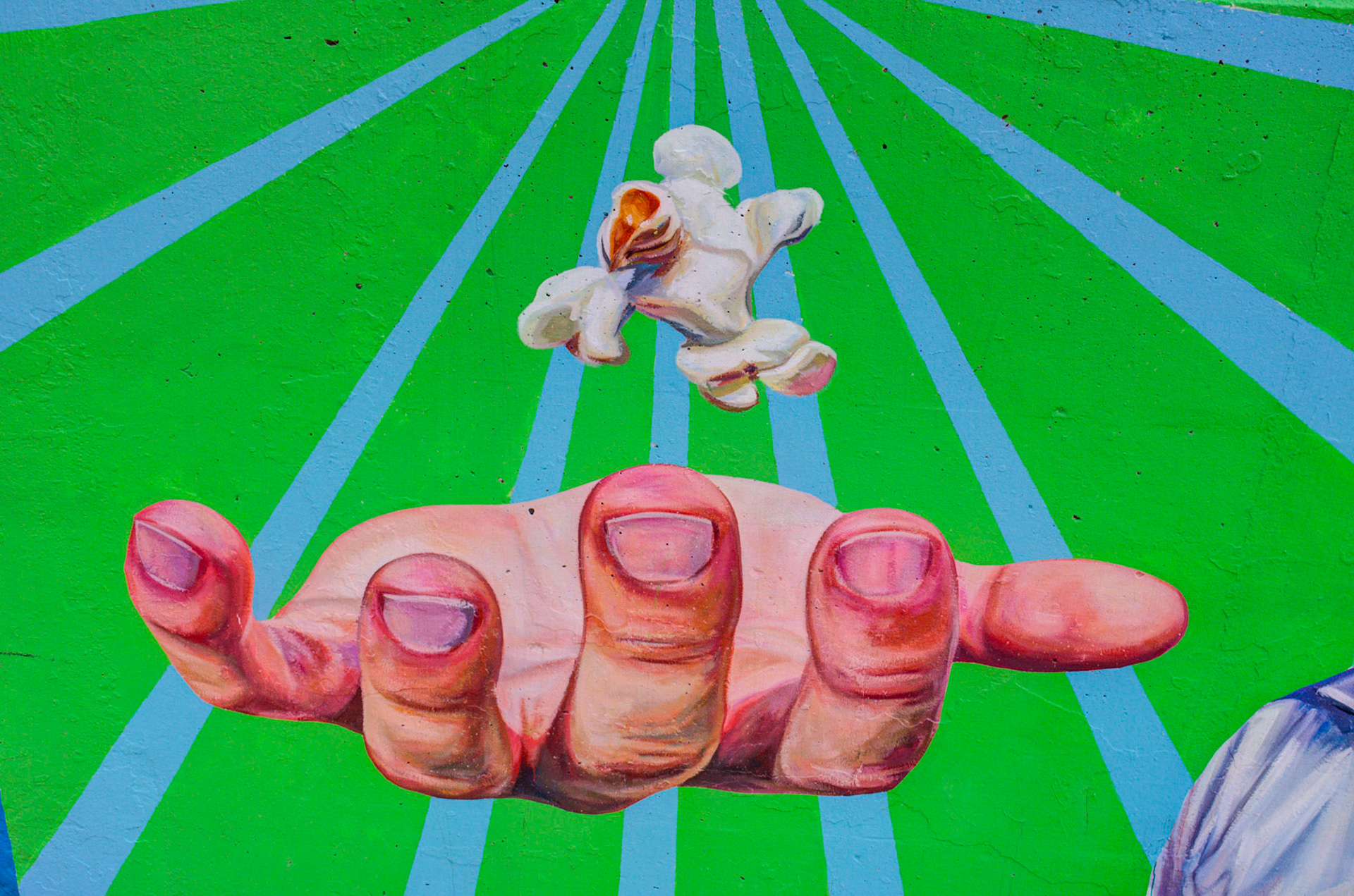 don't feed the birds