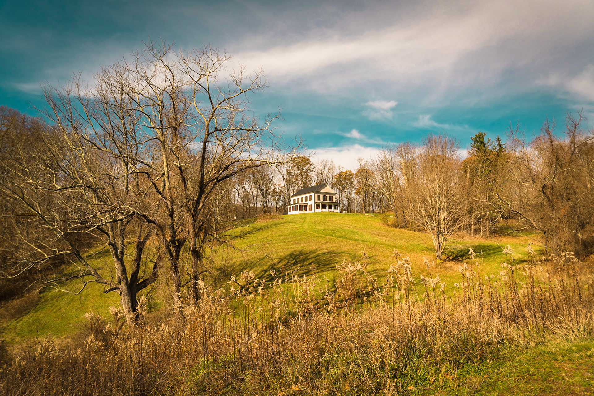 Alone on a hill
