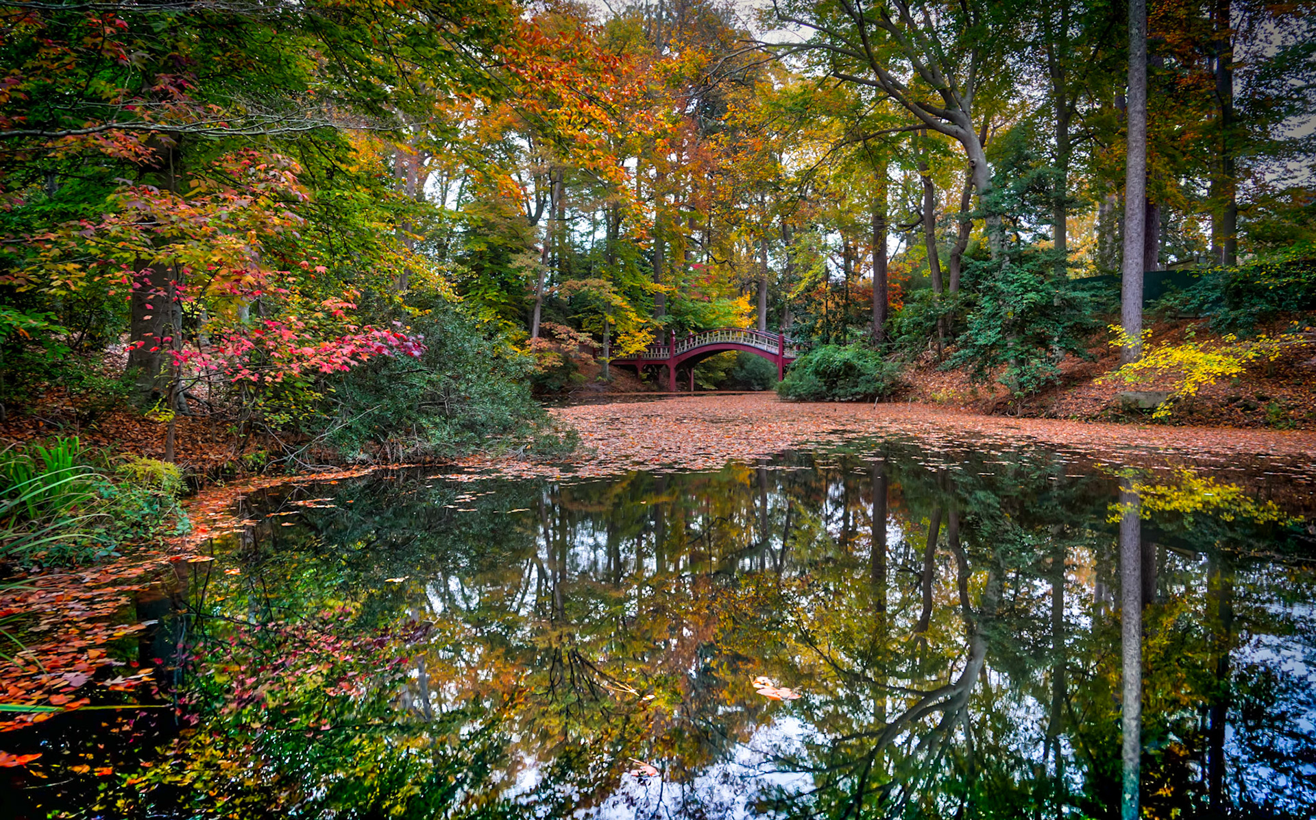 "…that one may walk in beauty, discover the serenity of the quiet moment, and dispel the shadows."