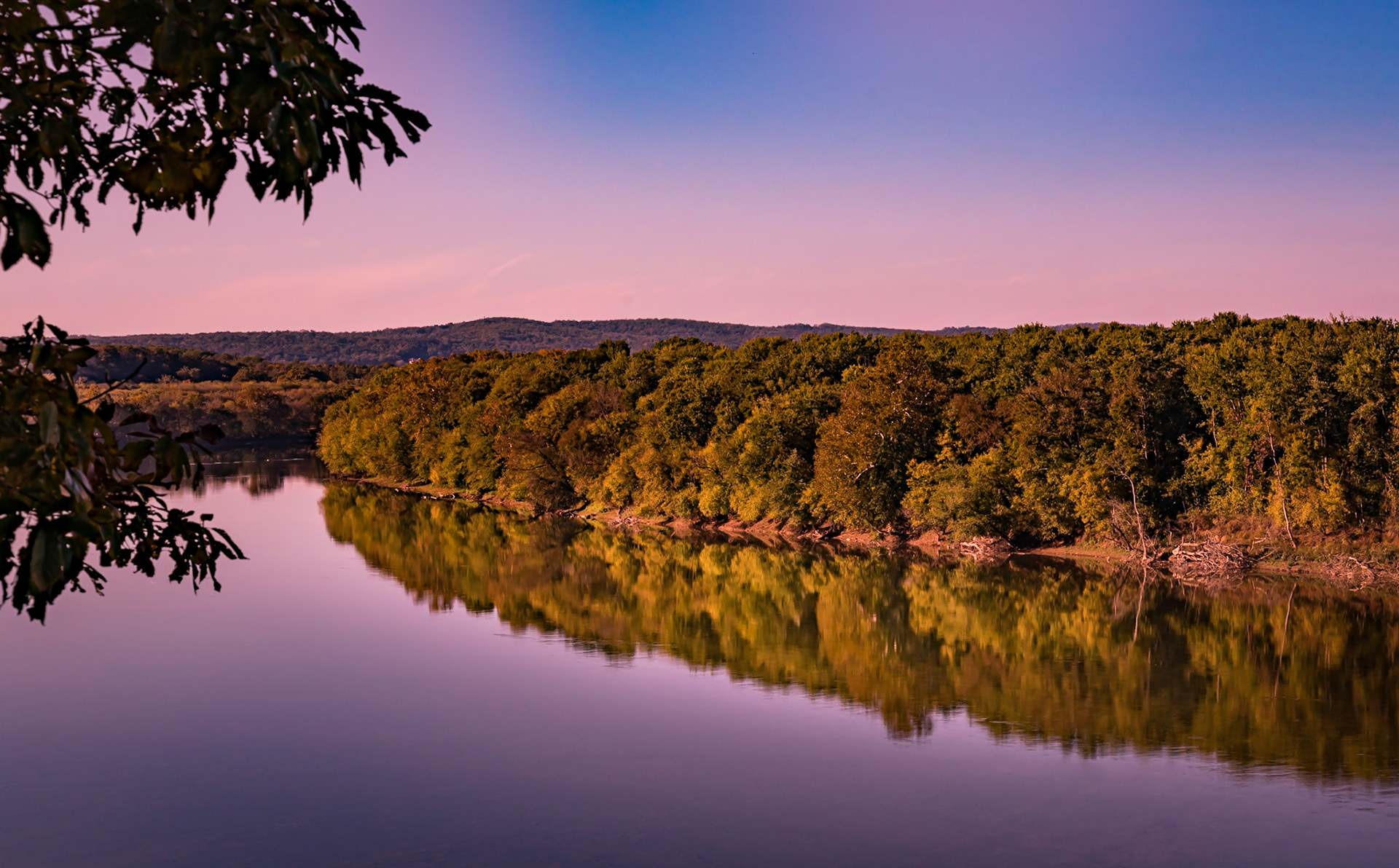 Shelter me with its sweet mysteries