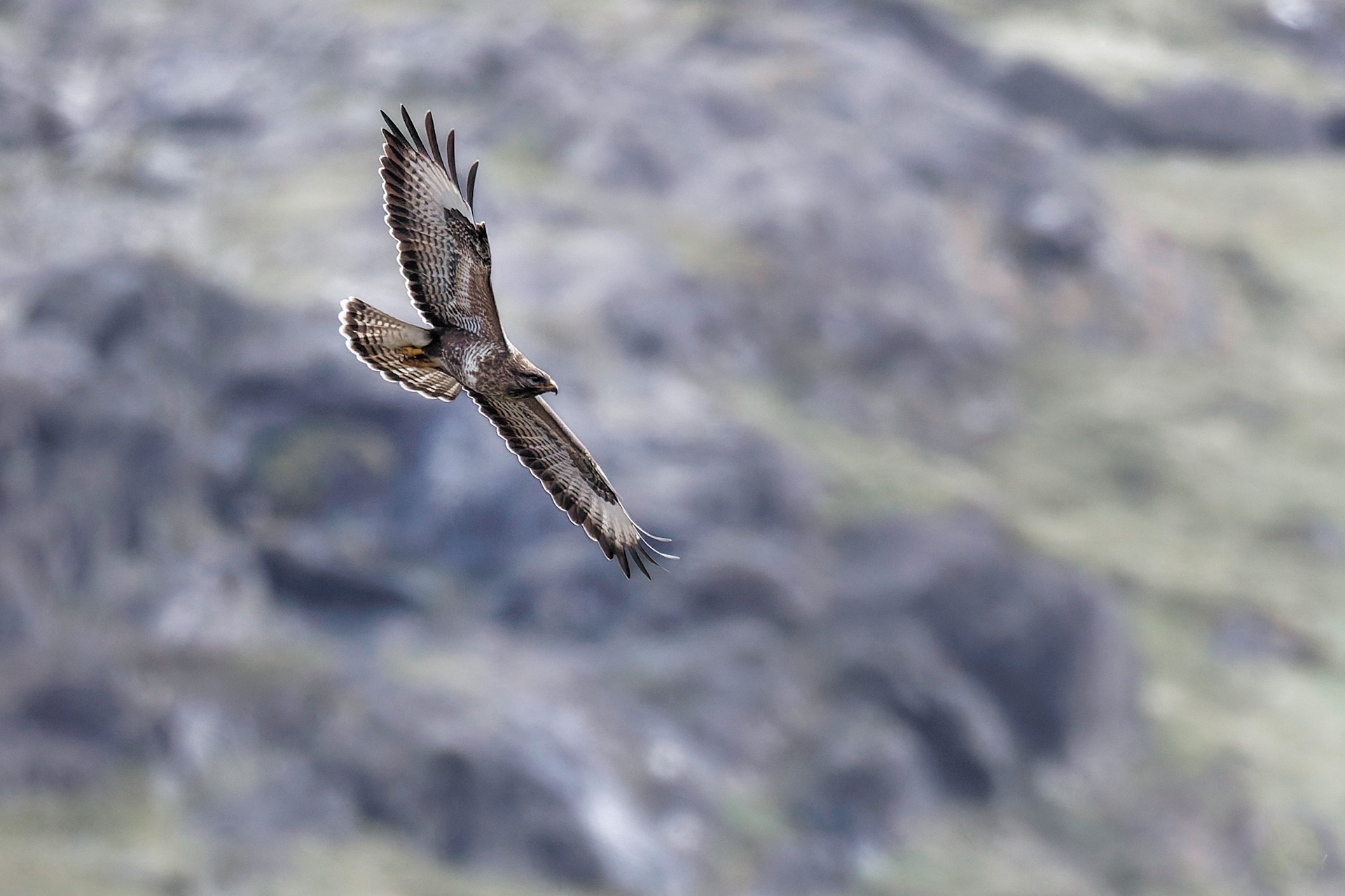 Buse variable