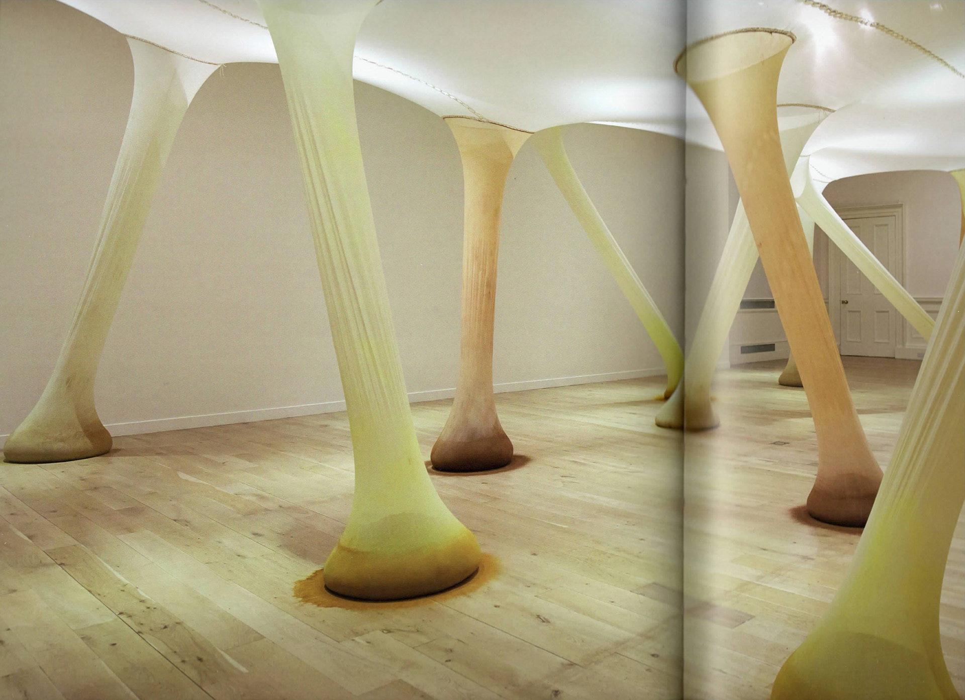 Ernesto Neto, 'It Happens When the Body is Anatomy of Time', 2000. One of the best titles I have ever found. made my stomach lurch. thinking of weight and burden. of evidence. of inner workings. of natural occurences. of the inevitable.