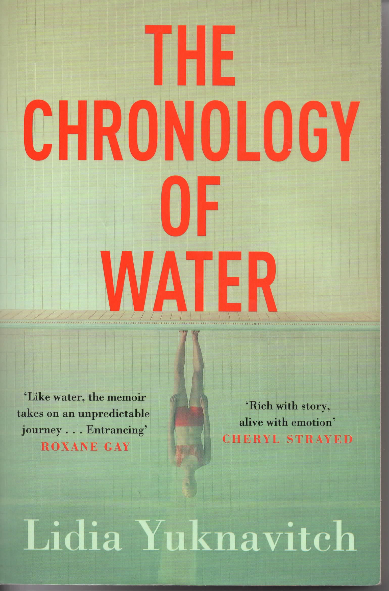 This book, Yuknavitch's writing style, blew me away and was a forceful inspiration in how much poetry/prose I wrote over the course of this year. Her writing is some of the most brazen I have read but also defiant of its' own labeled brazenness. Her handling of the self and grief is not concrete, it is evolving but finds stability in its declarations.