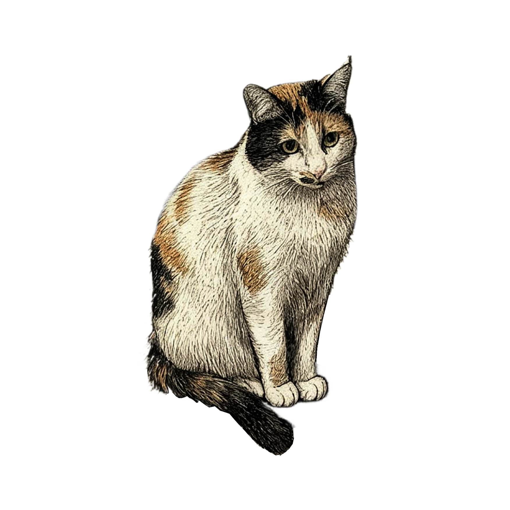 SOPHIE