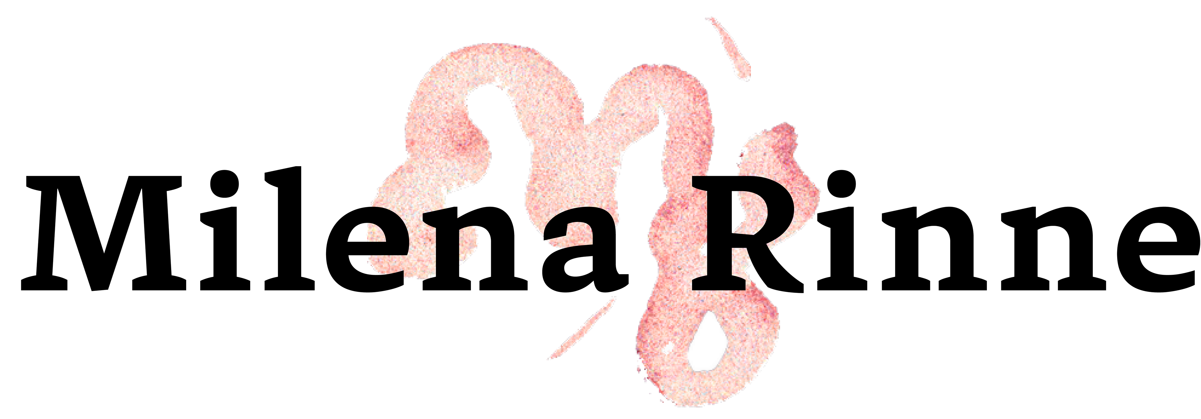 Milena Rinne -teksti.