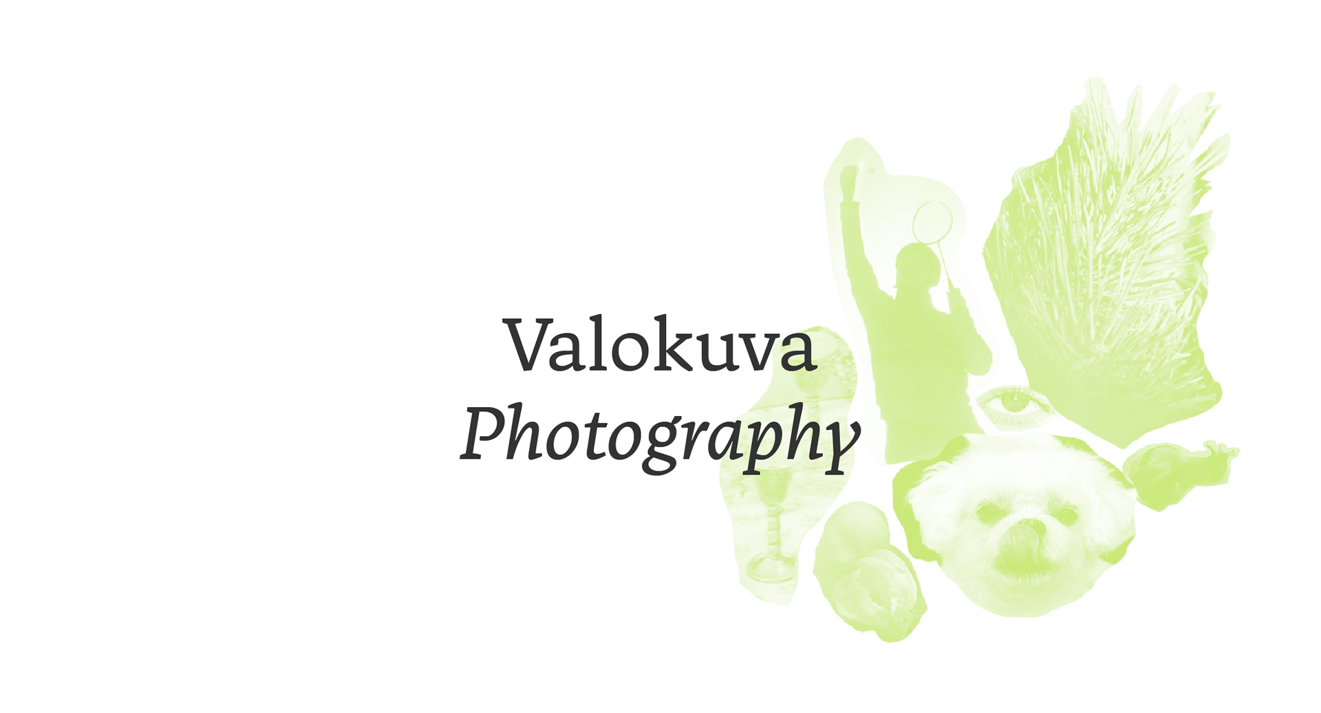 Linkki, teksti: "Valokuva". Link, text: "Photography".
