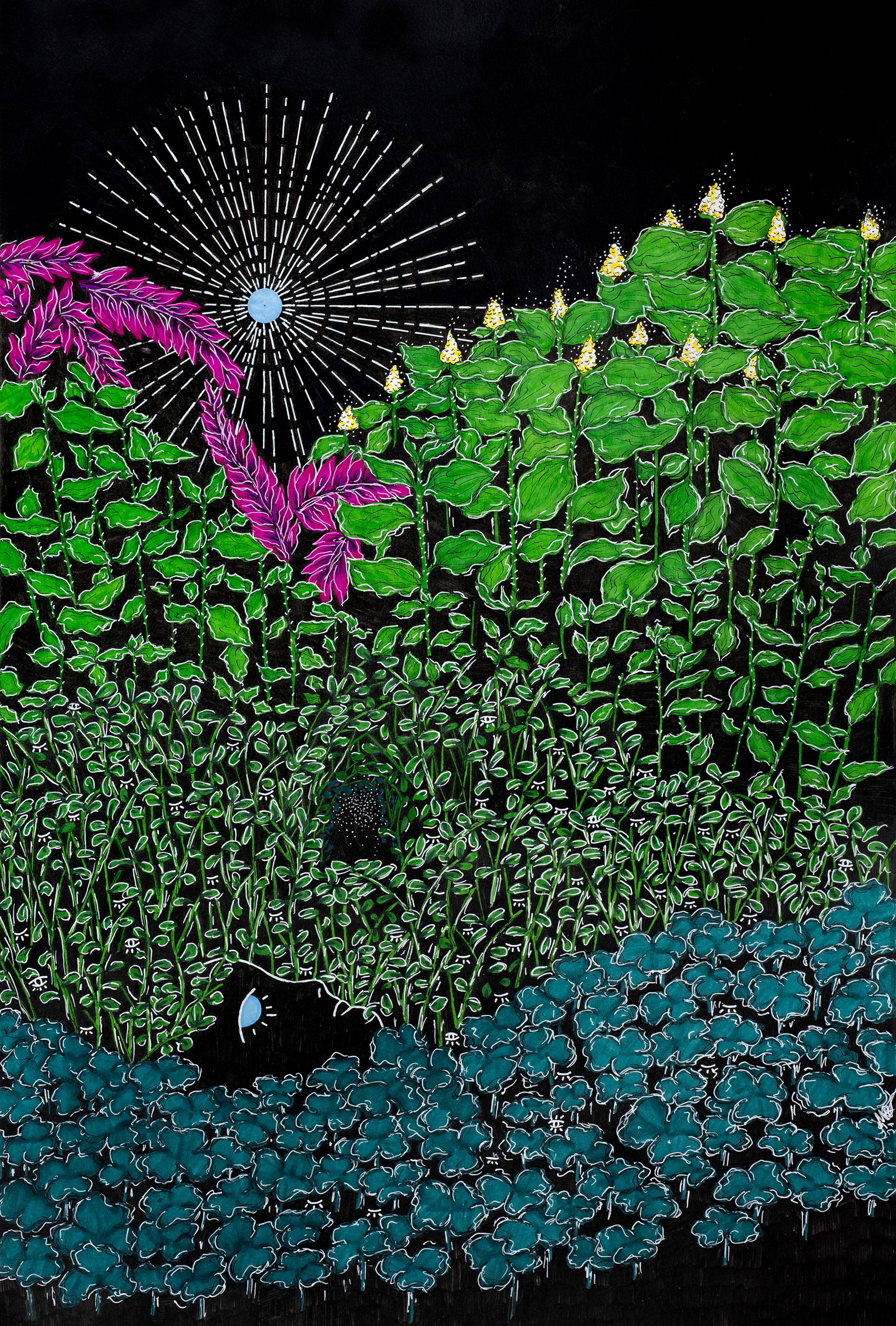 Illustration for Kolibre – Valveuni