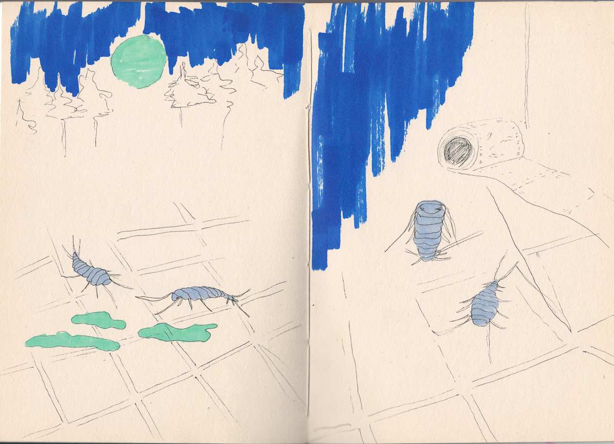 some roommates / sketchbook